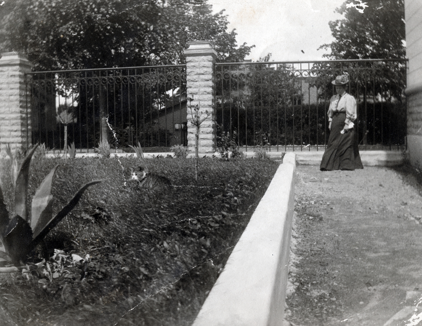 1906, Reichardt Nóra, fence, Fortepan #227028