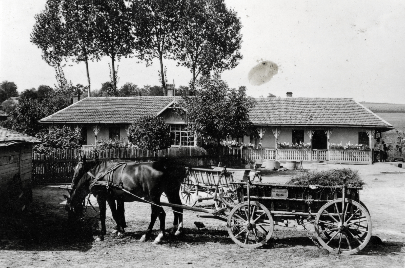 1935, Reichardt Nóra, chariot, Fortepan #227048