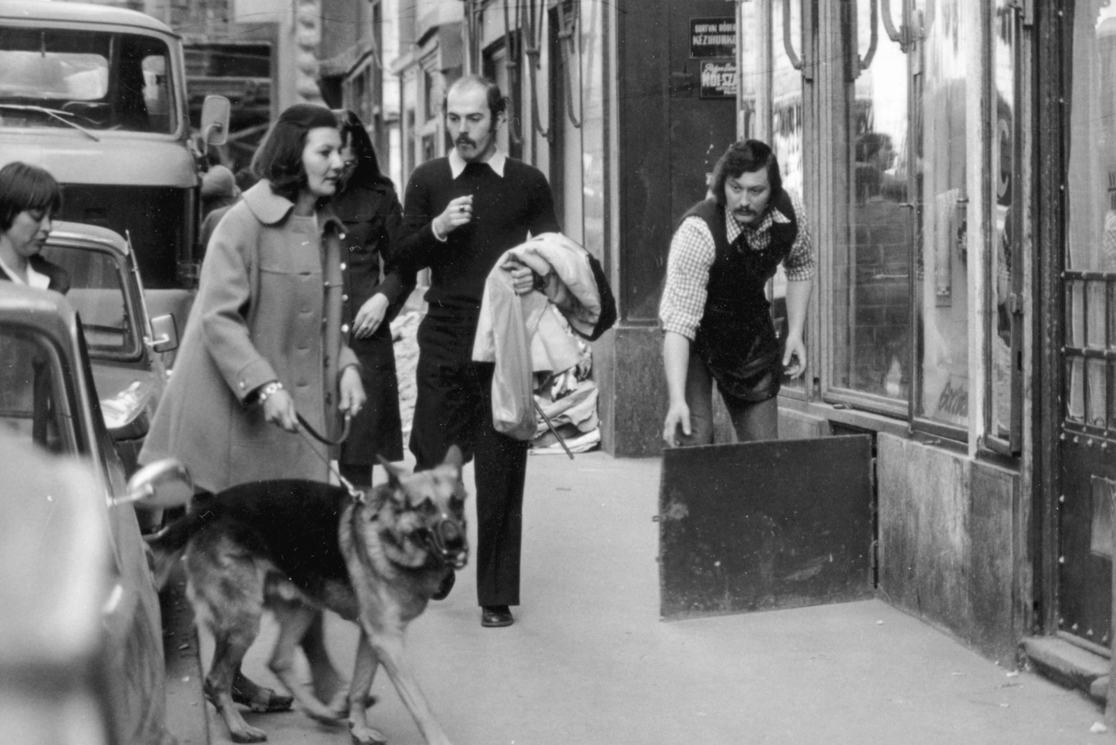 1976, Középületépítő Vállalat - Kreszán Albert - Koczka András - Kemecsei József, dog, German shepherd, Fortepan #227158