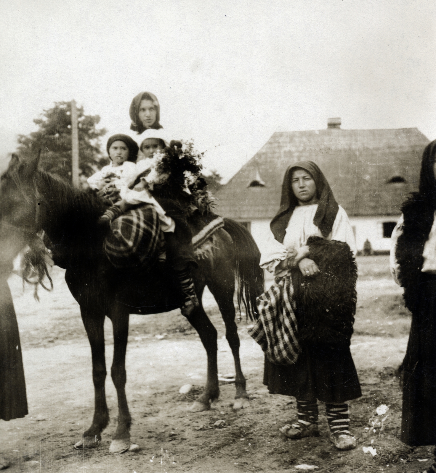 1915, Vízkelety László, folk costume, kid, peasant, village, horse, attire, headscarf, farmhouse, shingle, Fortepan #227350