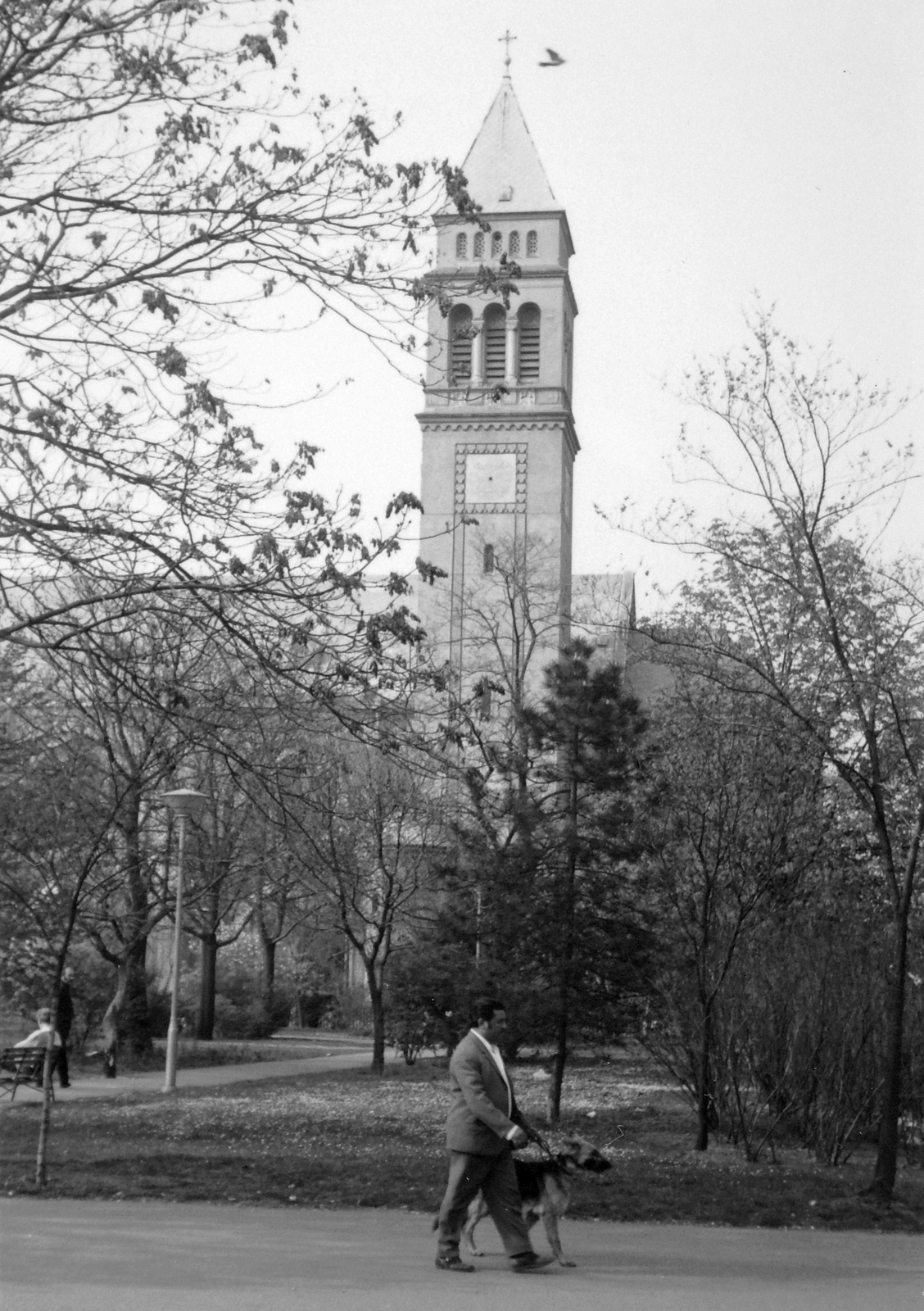 Magyarország, Budapest XIX., Wekerletelep, Munkás Szent József-templom., 1982, Bekker Sándor, templom, kutya, séta, park, torony, német juhászkutya, Budapest, kutyasétáltatás, Fortepan #22746