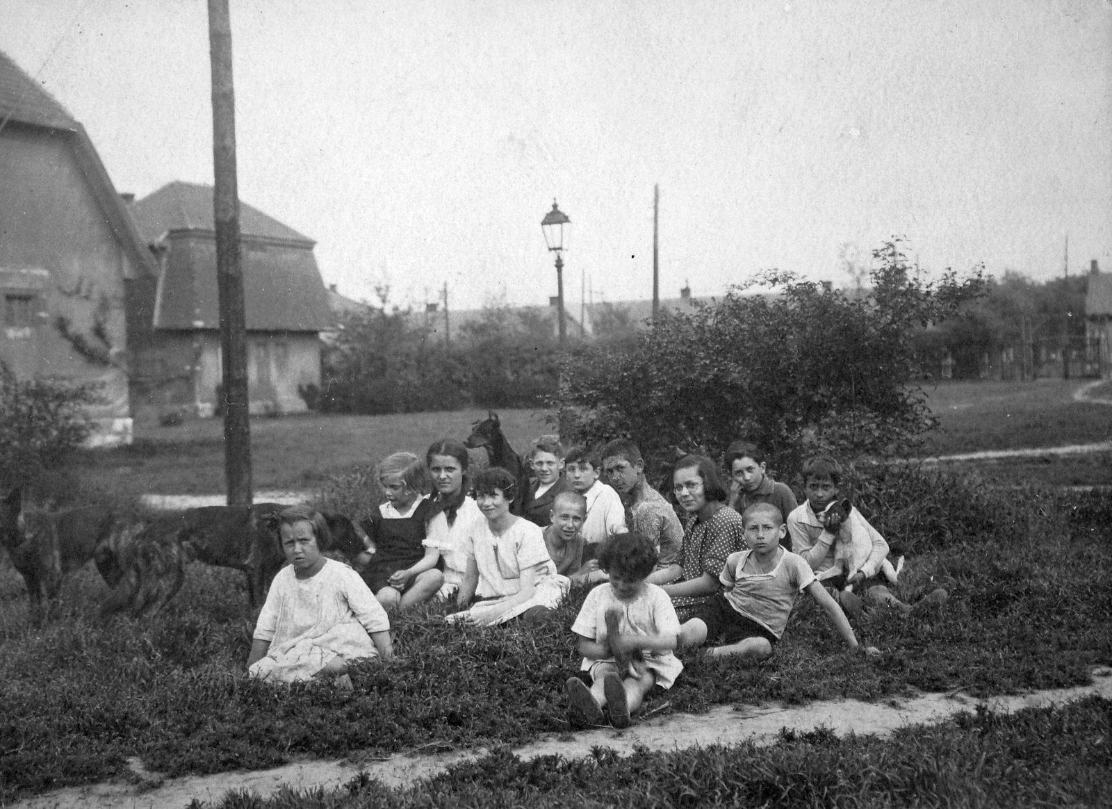 Hungary, Budapest VIII., Százados úti Művésztelep., 1923, Lakatos Mária, art, dog, kids, Budapest, wood, lamp post, bush, grass, Fortepan #22828