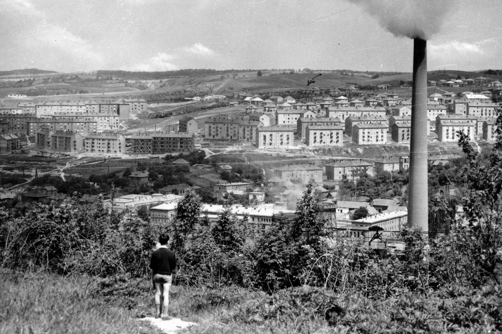 Hungary, Komló, kilátás Kökönyös városrészből, háttérben Kenderföld városrész házai., 1964, Karancsiné Magyar Anikó, Fortepan #228364