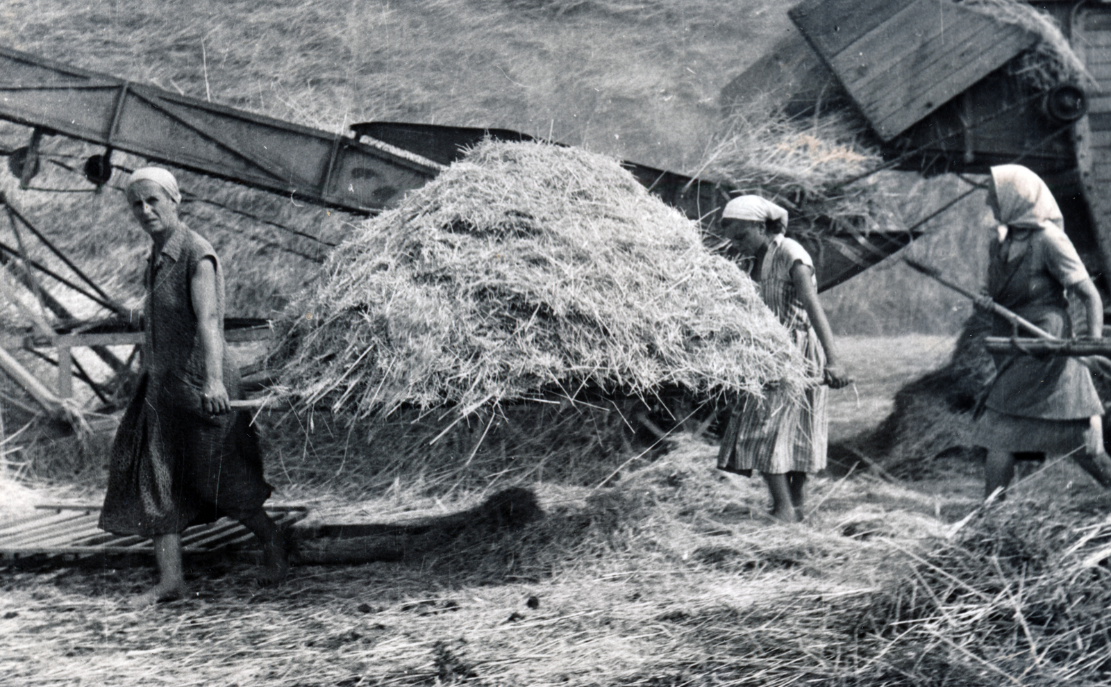 1958, Kálóczi Tamás, threshing, agriculture, threshing machine, harvest, women, agricultural machine, carrying, hay, Fortepan #228370