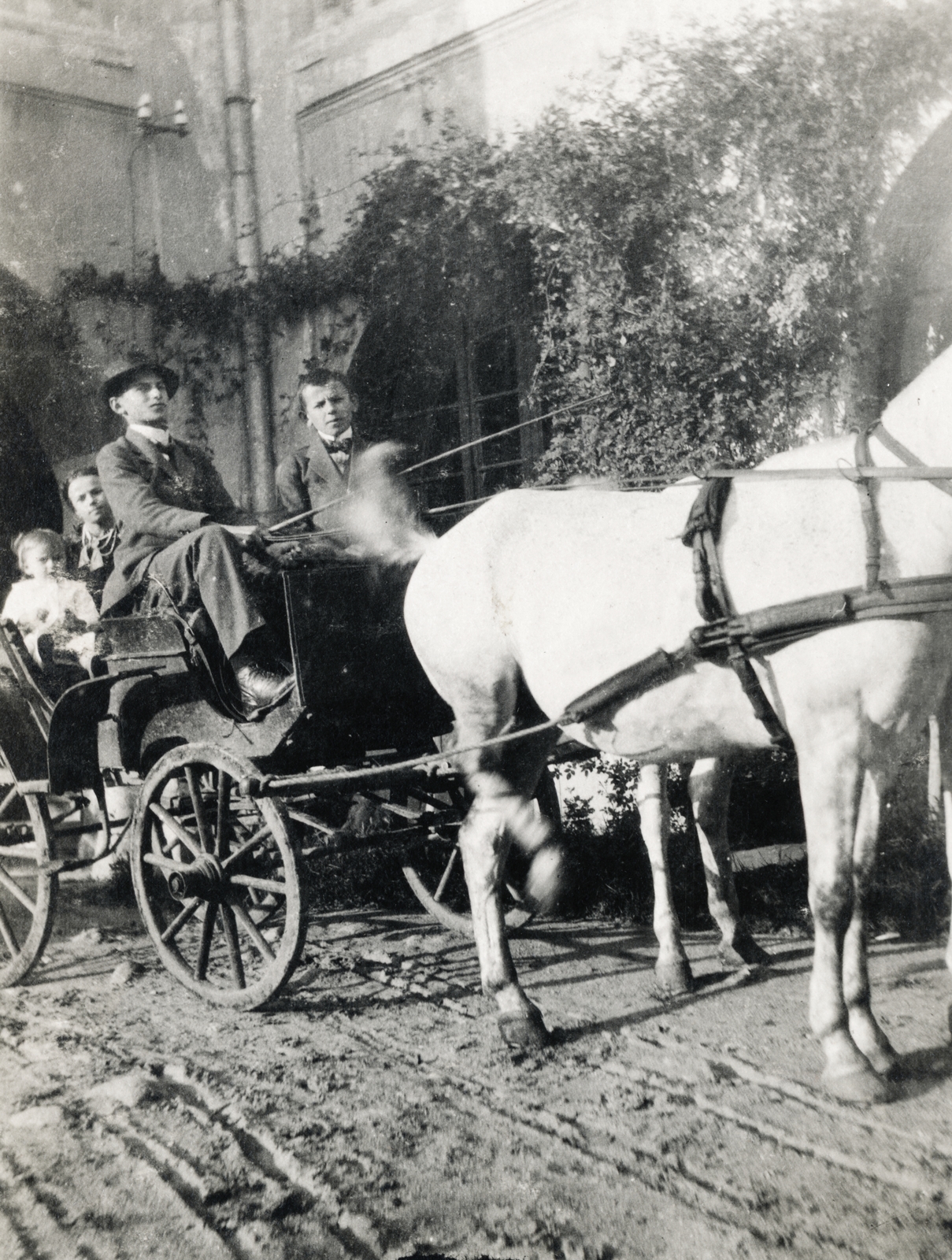 1930, Alicia Fraser, Horse-drawn carriage, Fortepan #228378
