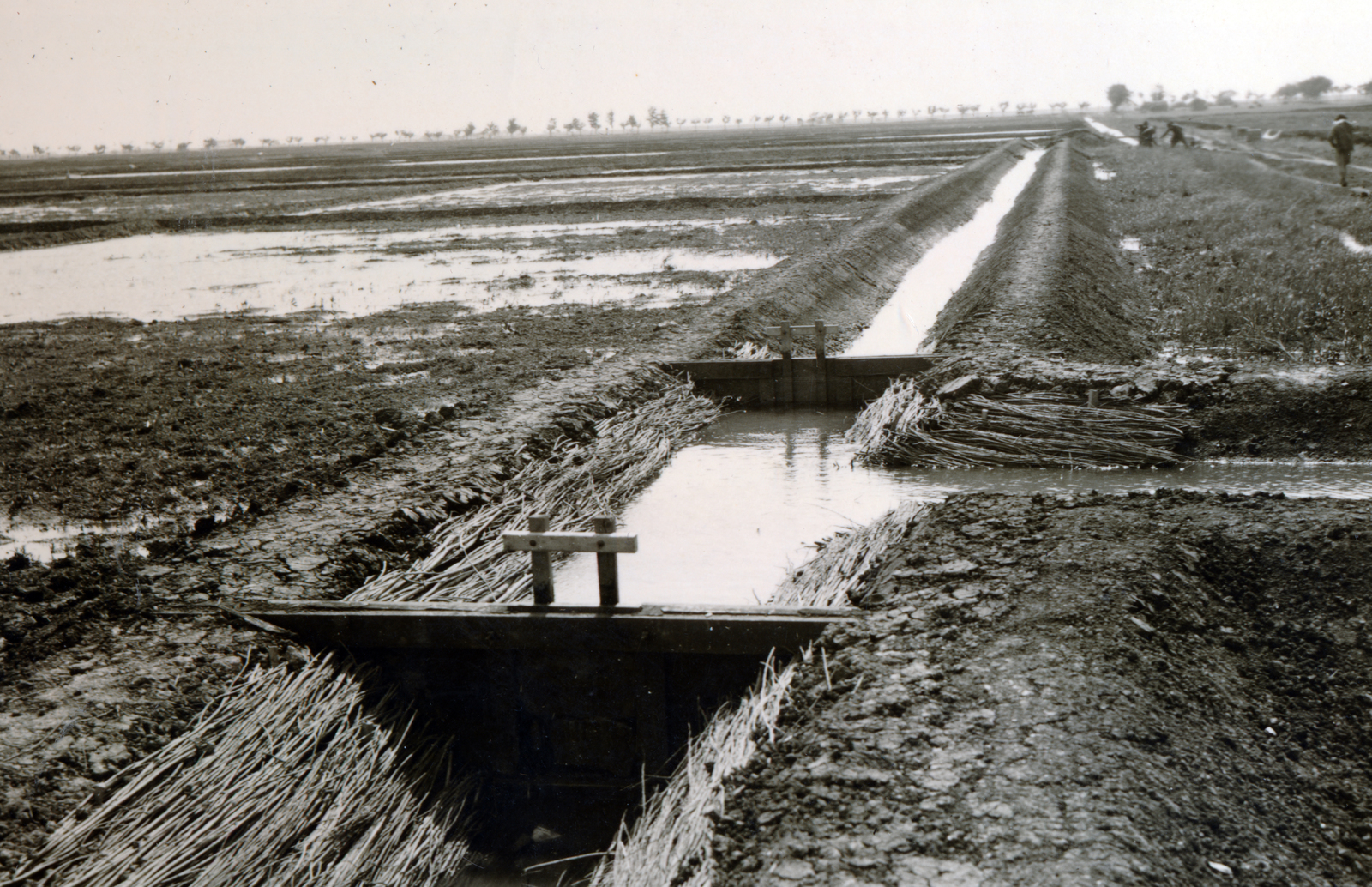 Magyarország, Köröstarcsa, 200 holdas rizsföld öntözőcsatornája., 1938, Flanek-Falvay-Kováts, mezőgazdaság, csatorna, Fortepan #228495