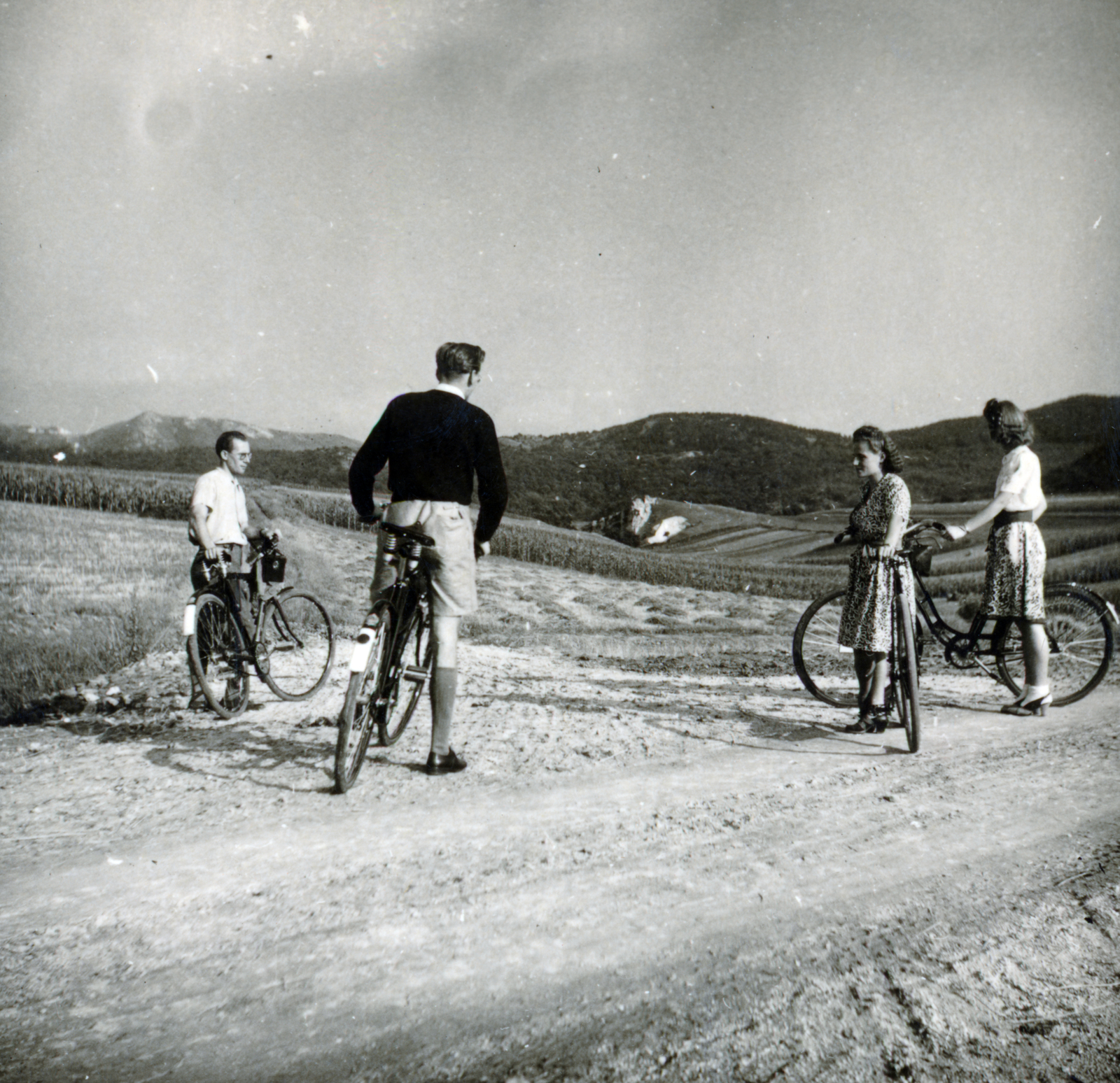 Hungary, Budakeszi, a Budaörs és Budakeszi közötti út, háttérben a budaörsi hegyek., 1939, Flanek-Falvay-Kováts, bicycle, Fortepan #228531