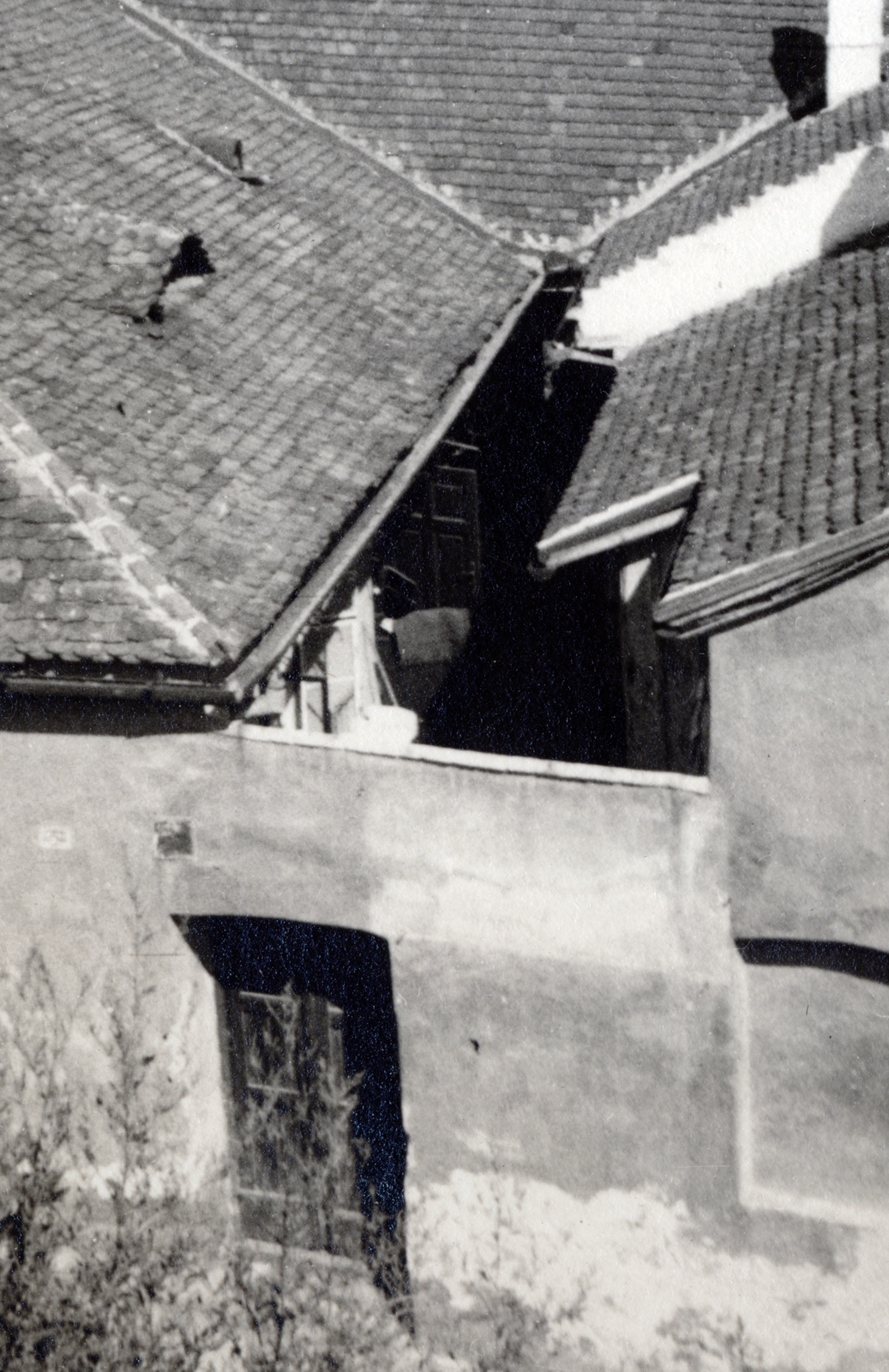 Magyarország, Tabán, Budapest I., a Hadnagy utca 37. számú ház és udvara a Komló utca felől nézve., 1932, Flanek-Falvay-Kováts, Budapest, háztető, Fortepan #228566