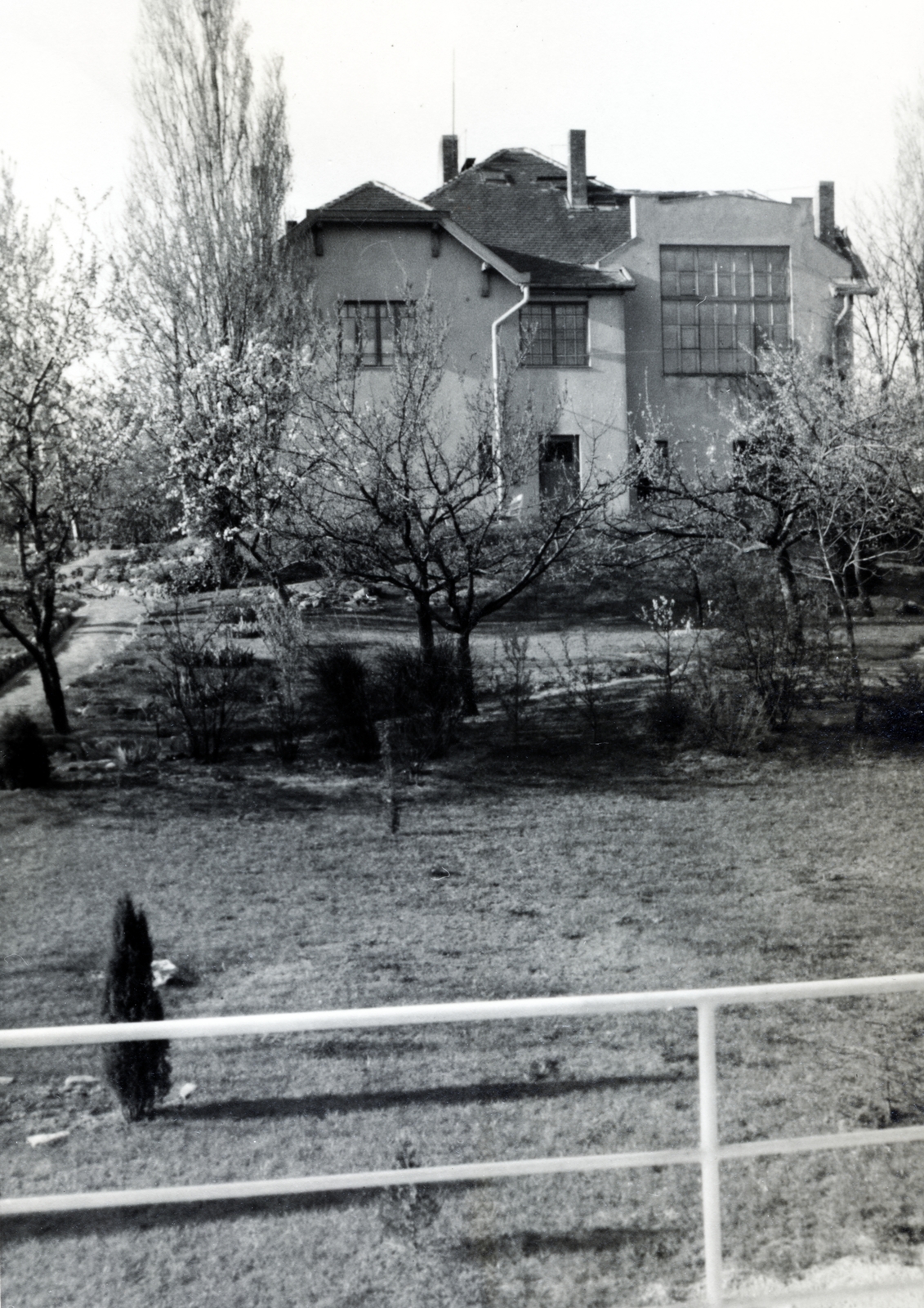 Hungary, Budapest XII., Zirzen Janka utca 7. számú épület kert felőli homlokzata a Kiss Áron utca 8. számú ház teraszáról nézve., 1937, Flanek-Falvay-Kováts, Budapest, Fortepan #228688