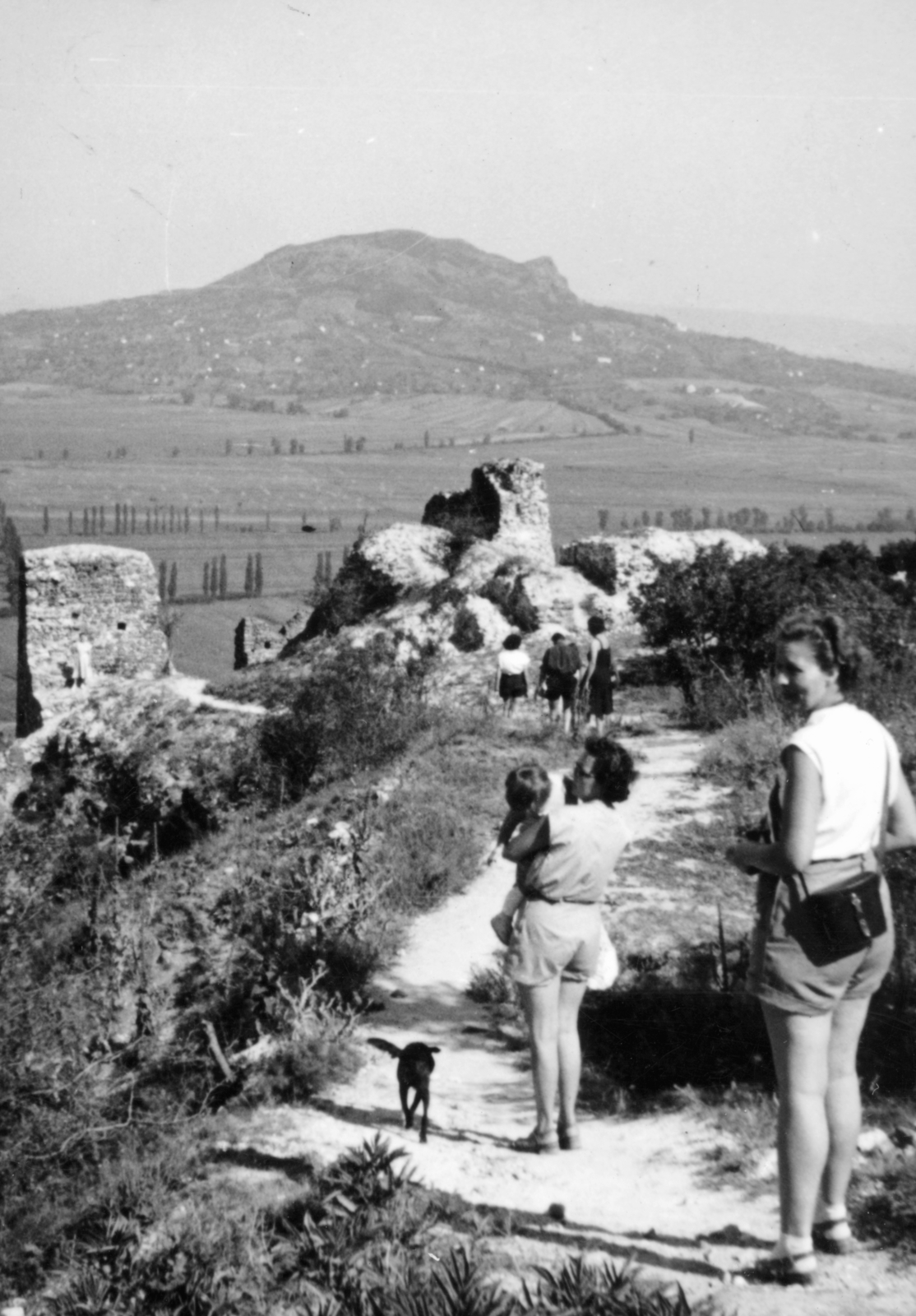 Hungary,Lake Balaton, Szigliget, kilátás a várból a Szent György-hegy felé., 1954, Ábrahám Katalin és László, dog, picture, mountain, castle ruins, tourist, Fortepan #229432