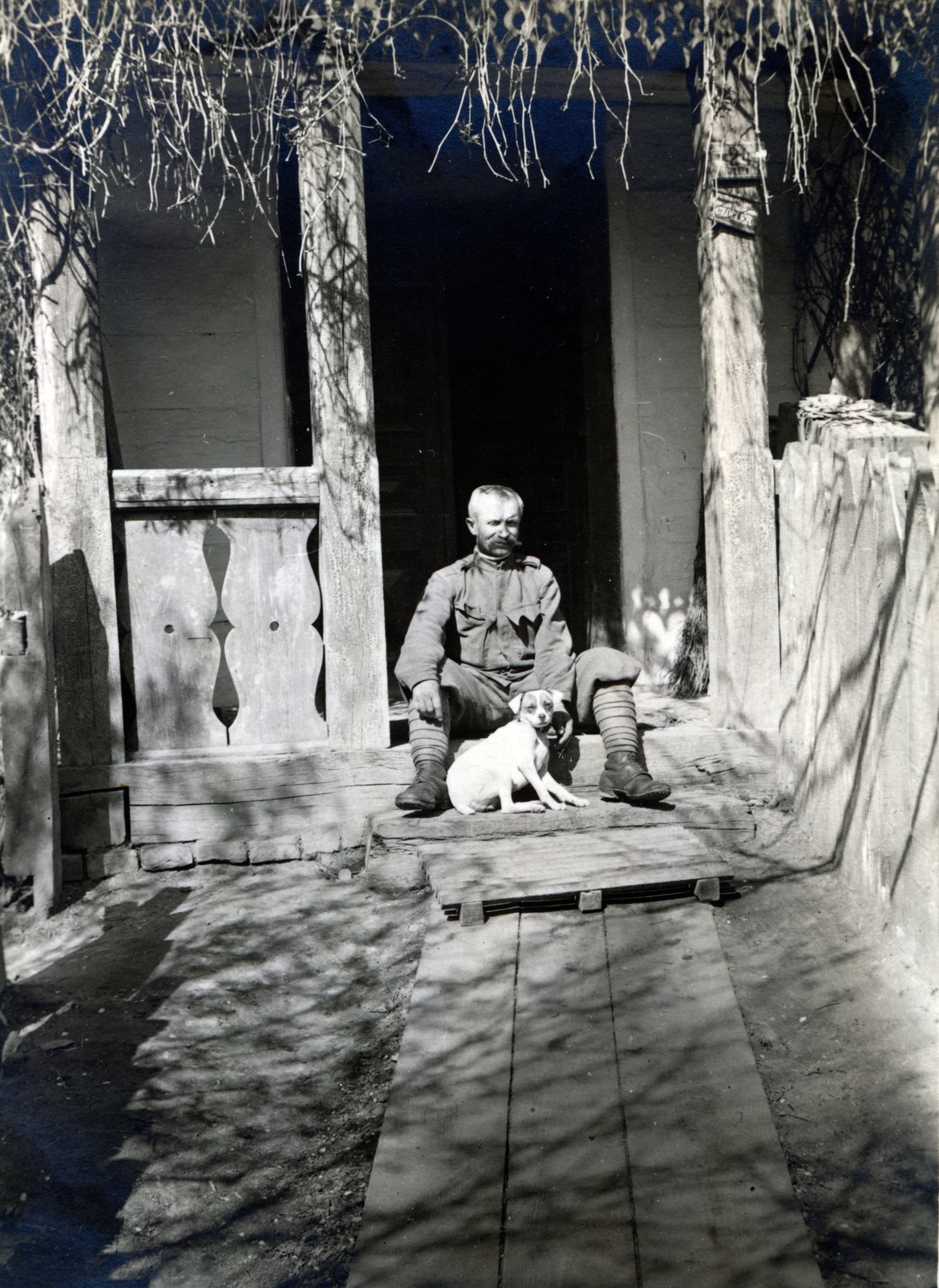 1916, Czógler Gusztáv, man, dog, porch, board, Fortepan #229933
