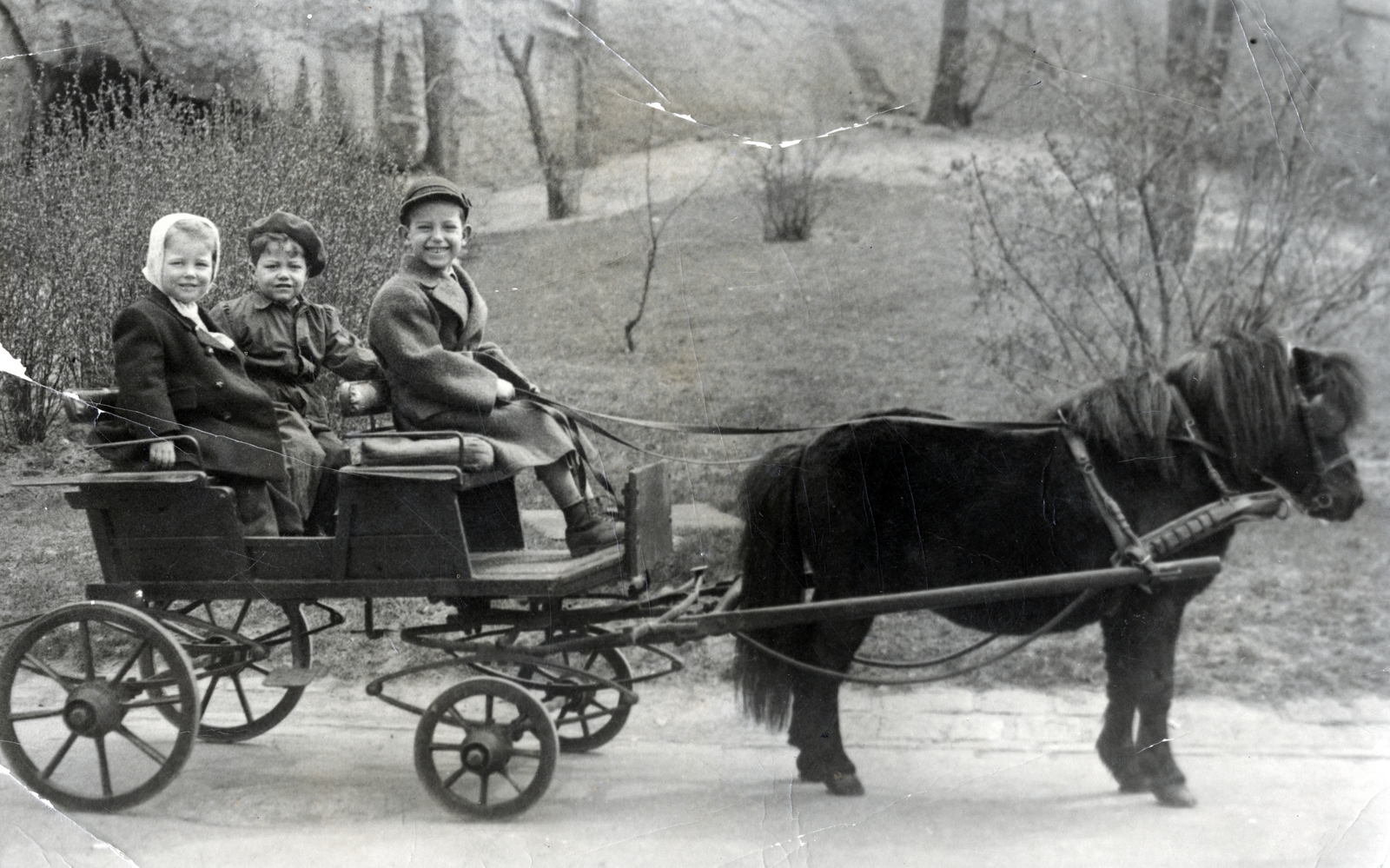 Magyarország, Városliget,Állatkert, Budapest XIV., pónifogat., 1948, Vajda Vera, póniló, gyerek, lovaskocsi, Budapest, Fortepan #230005