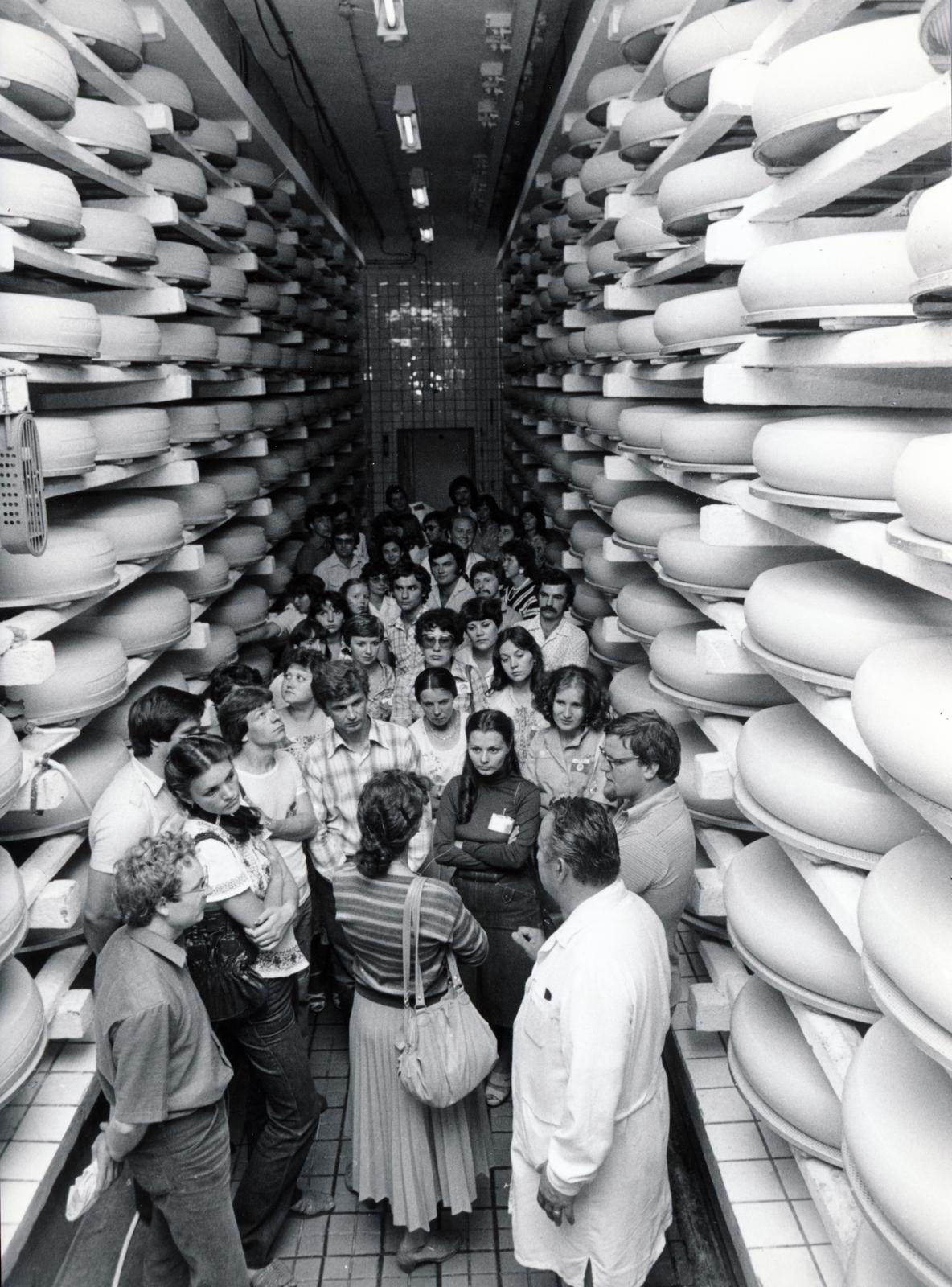 1973, Juhász-Tarcai Annamária, milk industry, cheese, cheese ripening, Fortepan #230049