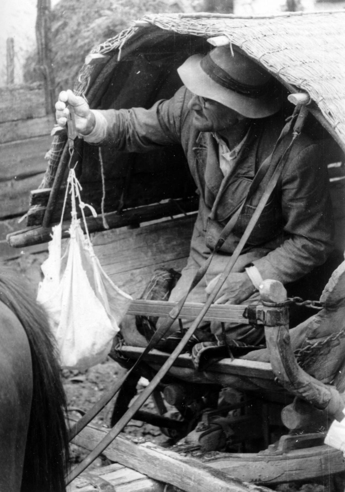 1962, Fortepan/Album087, hold in arms, teamster, Fortepan #230169