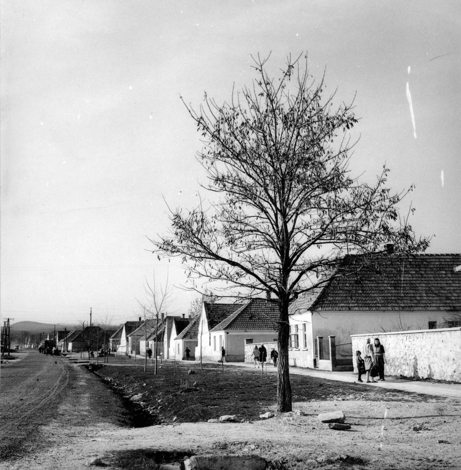 1962, Fortepan/Album087, falu, képarány: négyzetes, utcakép, Fortepan #230248
