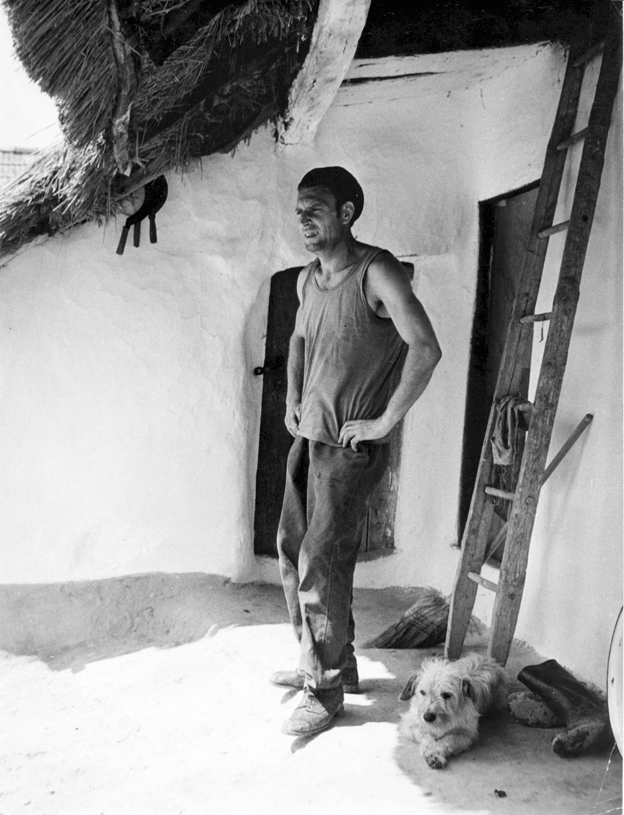 1965, Fortepan/Album087, vernacular architecture, akimbo, man, dog, Fortepan #230251