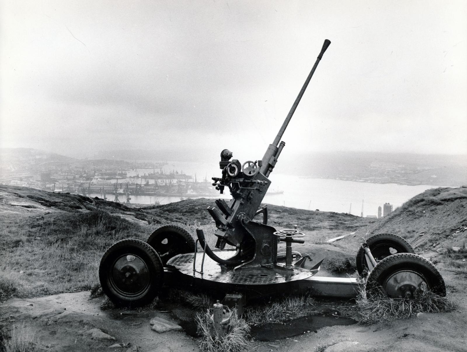 1960, Székely Iván, air defense, cannon, monument, Fortepan #230370