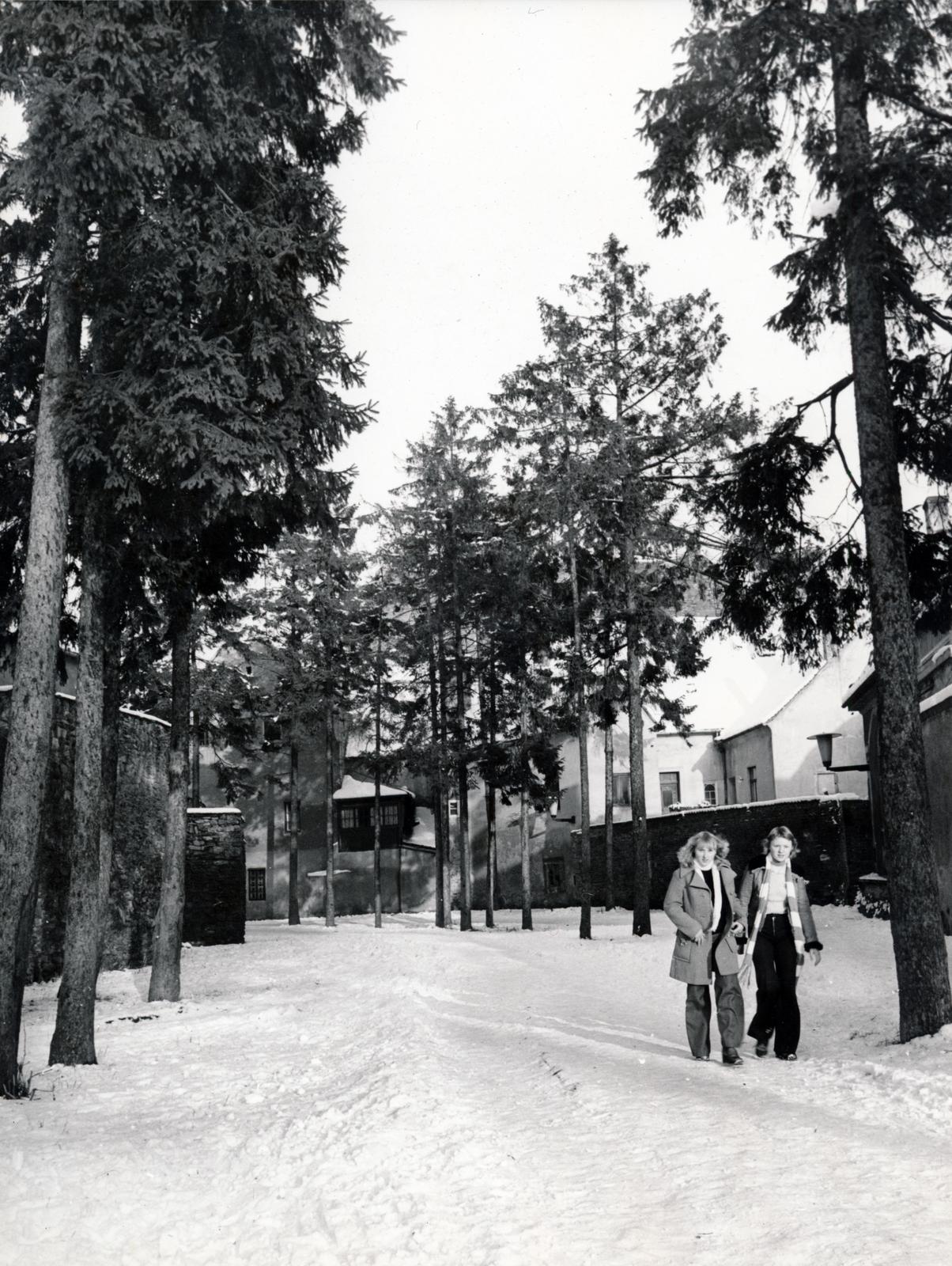 Magyarország, Kőszeg, Diák köz a Chernel utcától a Rajnis utca felé, balra a Jurisics-vár., 1977, Székely Iván, Fortepan #230395