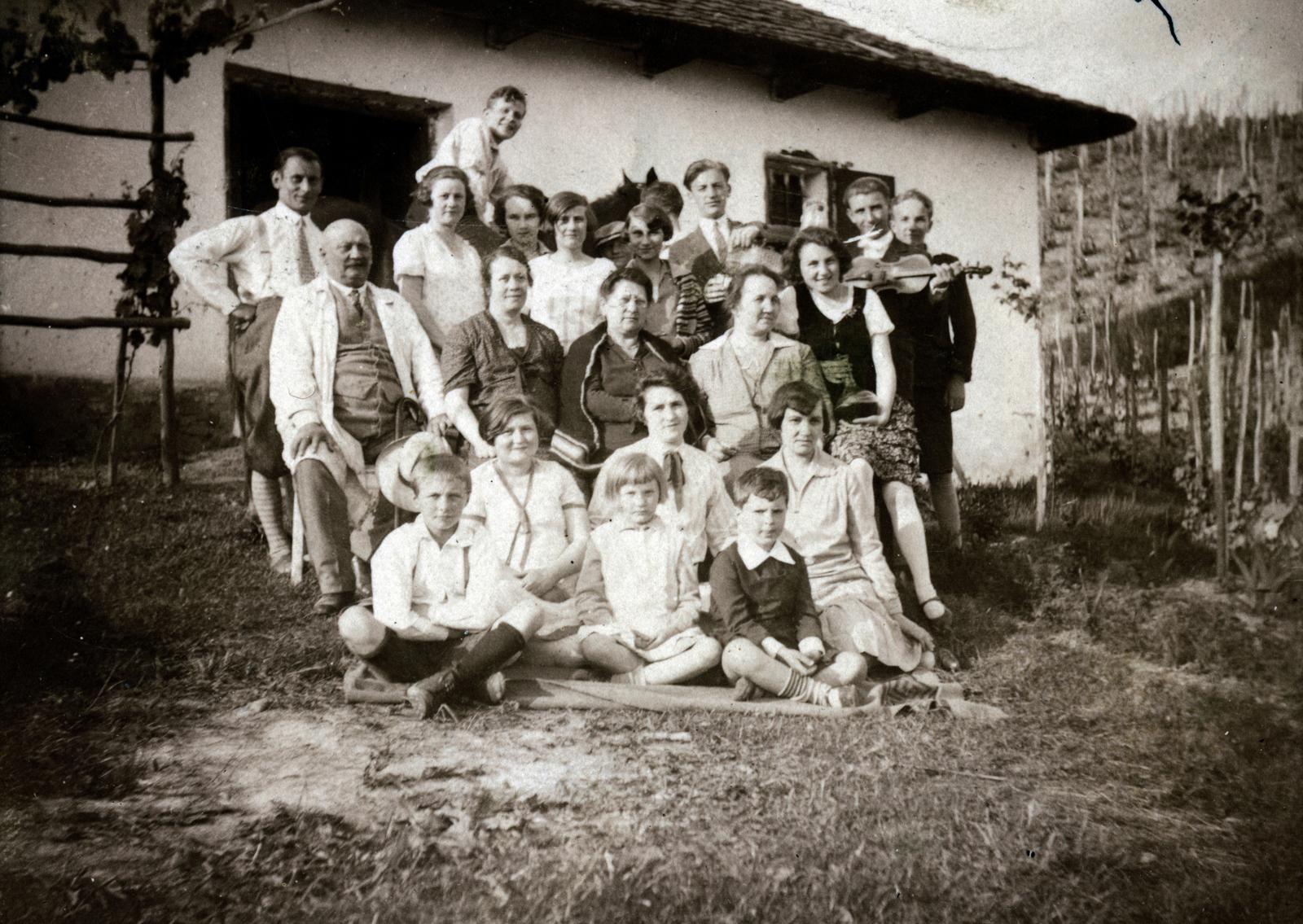 1928, Gubcsó család, csoportkép, generációk, ló, hegedű, szőlőtőke, Fortepan #231149