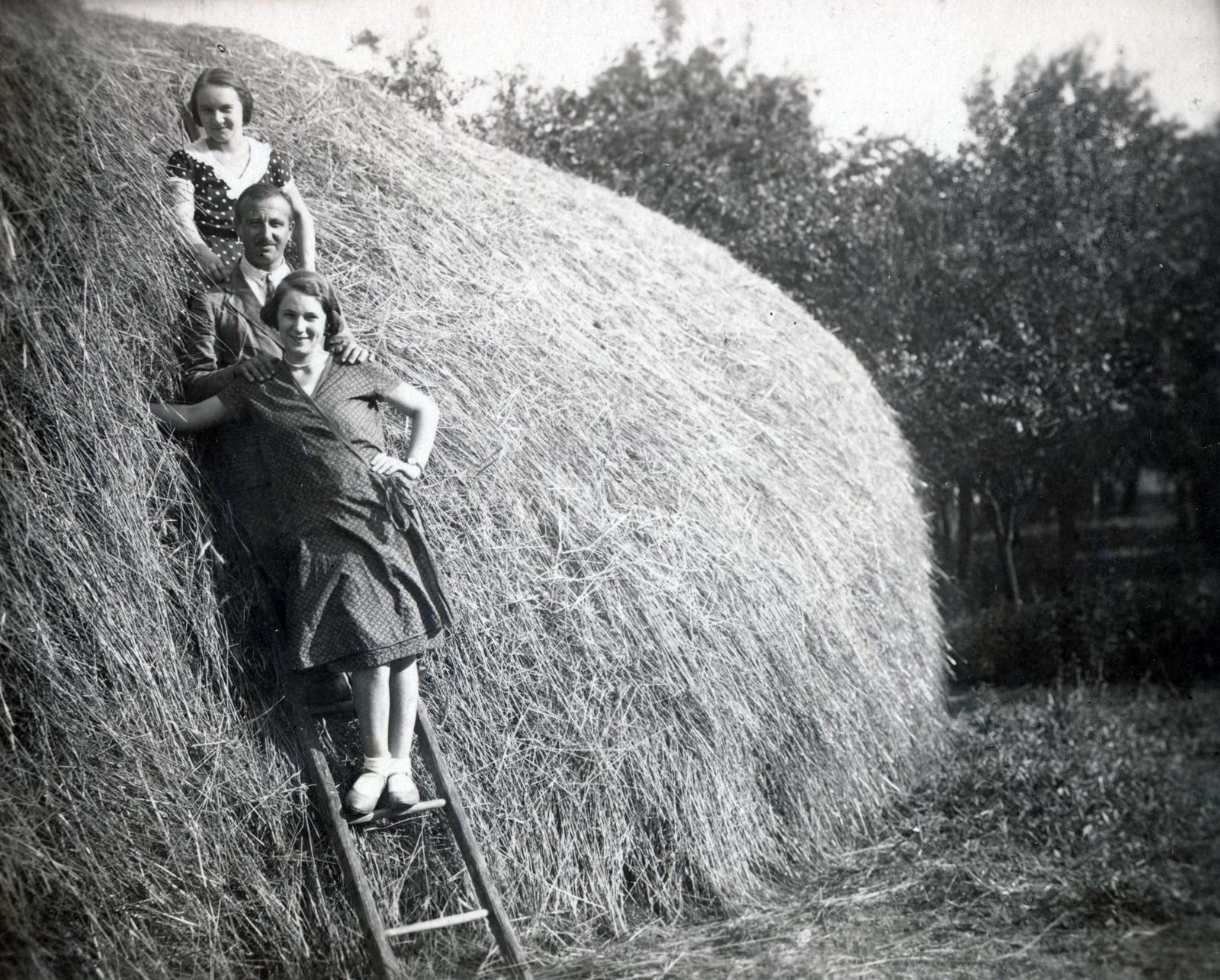 1931, Gubcsó család, ladder, hay, Fortepan #231152