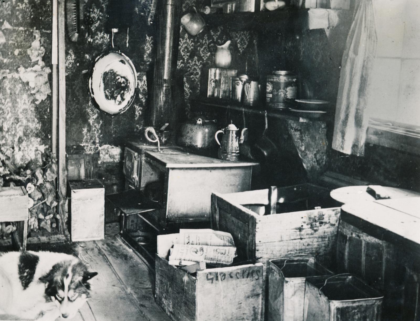 1931, Drinóczi Zoltán, Fortepan #231222