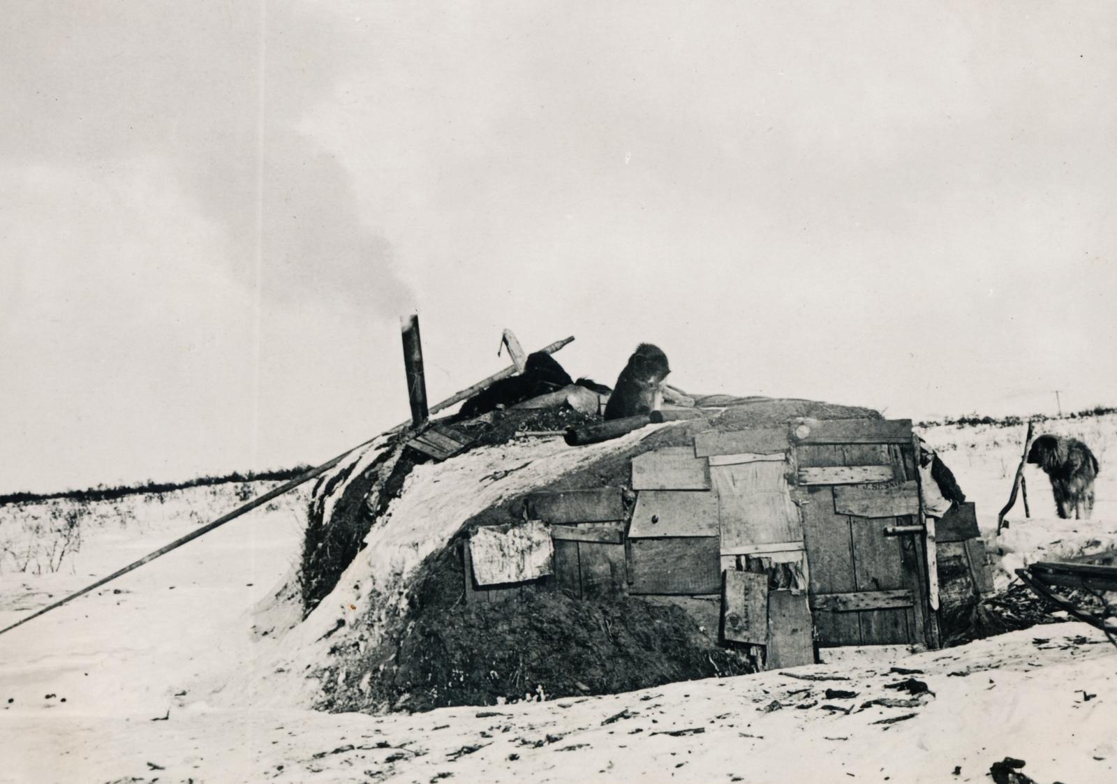 1931, Drinóczi Zoltán, Fortepan #231223