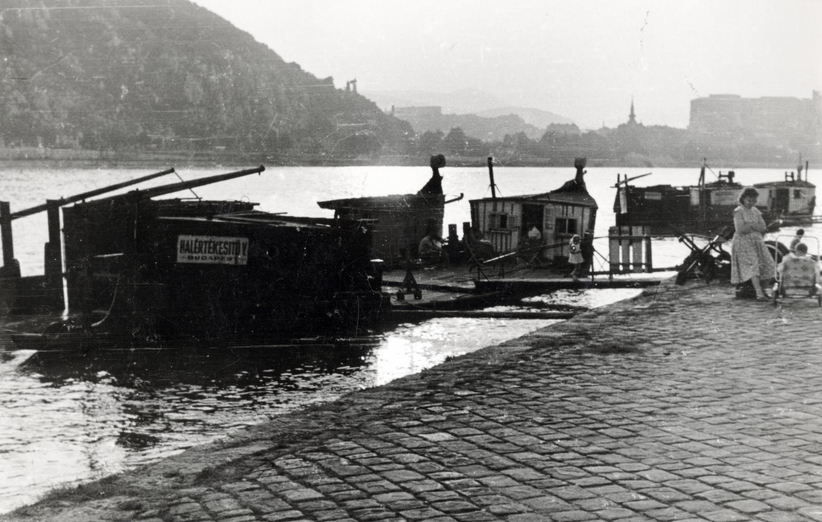 1955, Gyárfás László, fishing, Fortepan #231243