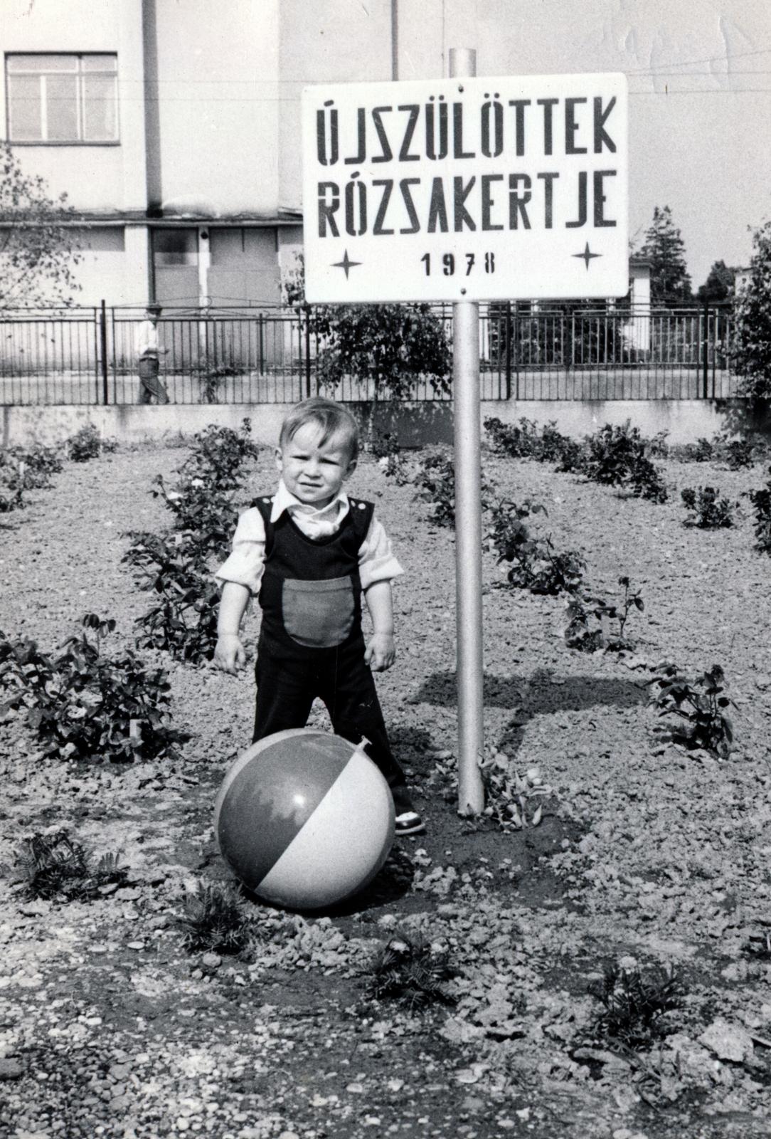 Slovakia, Hlavna, Újszülöttek rózsakertje., 1980, Losonci Rita dr., Fortepan #231271