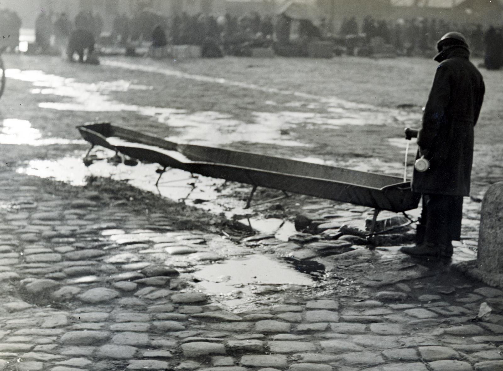 Magyarország, Budapest IX., Haller utcai vásártér, országos vásár alkalmával készült a felvétel., 1932, Bor Dezső, kút, itatóvályú, Budapest, Fortepan #231304