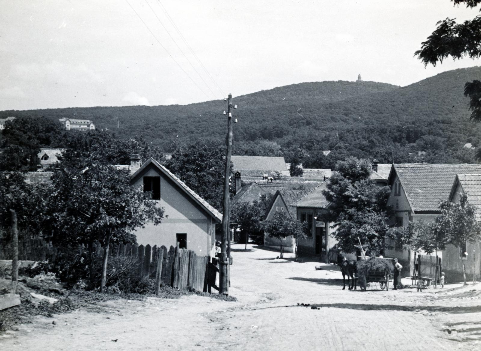 Magyarország, Budakeszi, Erdő utca, balra a 123. számú ház. A távolban balra az Erzsébet királyné tüdőszanatórium (későbbi Országos Korányi Tbc és Pulmonológiai Intézet), jobbra a János-hegyen az Erzsébet-kilátó látszik., 1934, Bor Dezső, szekér, széna, léckerítés, Fortepan #231345