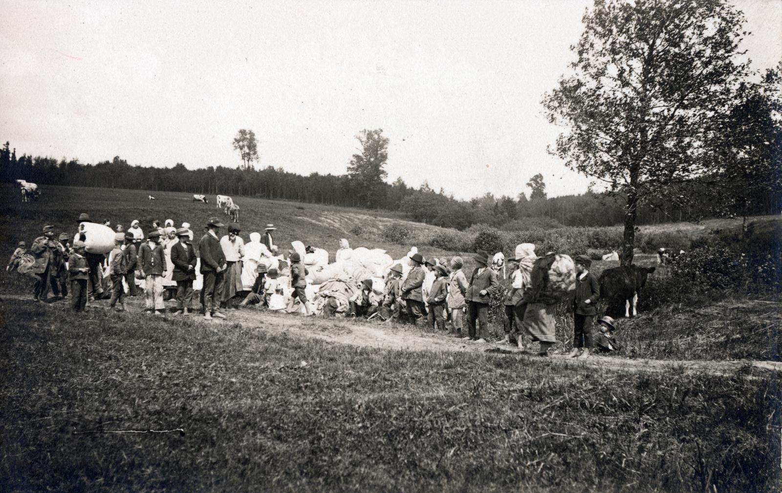 1916, Bor Dezső, glade, bundle, refugee, Fortepan #231466
