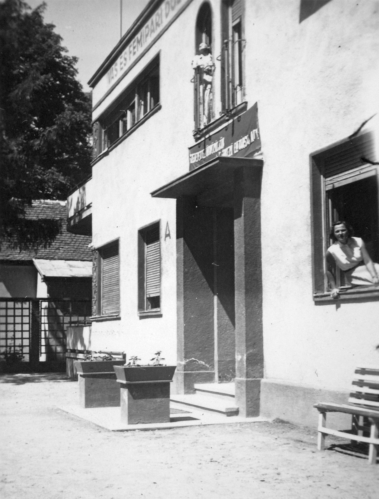 1954, Fortepan, sign-board, sculpture, fence, woman, flower box, sitting on a windowsill, Fortepan #23161