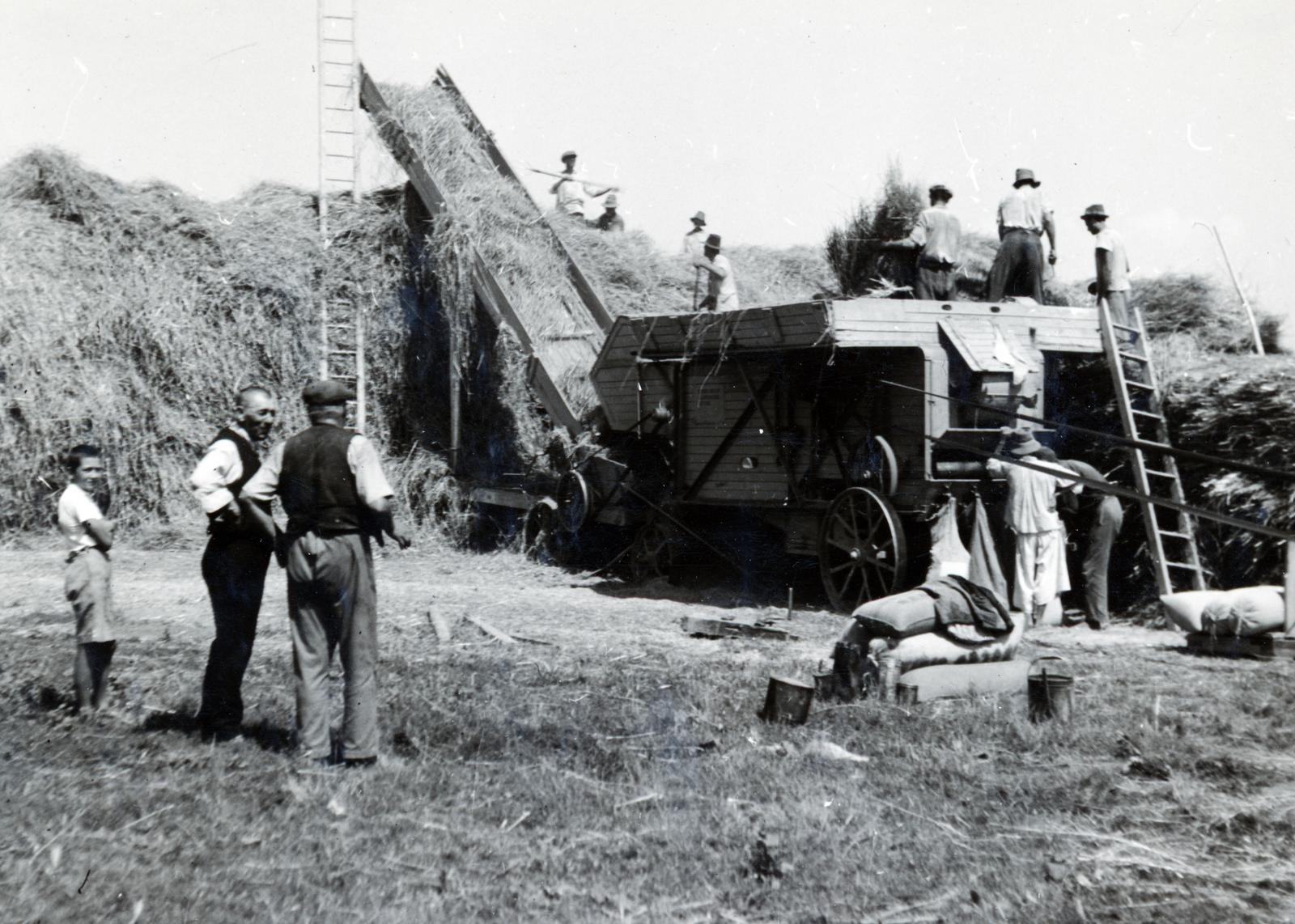 1941, Bor Dezső, threshing, threshing machine, Fortepan #231630