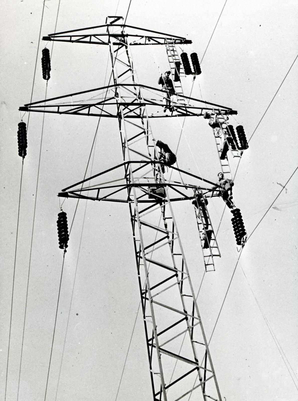 1936, Bor Dezső, Best of, power line, worker, ladder, assembly, porcelain insulators, Fortepan #232035