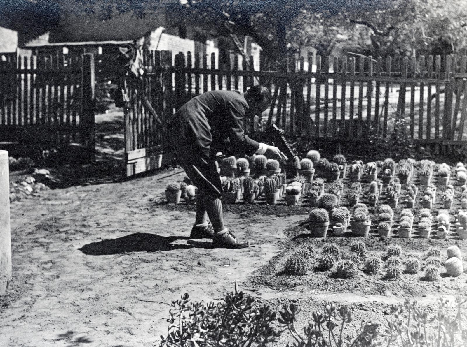 1932, Bor Dezső, fotózás, kaktusz, kert, Fortepan #232071