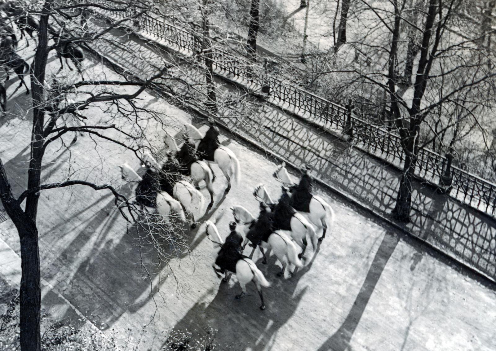 1931, Bor Dezső, plan view, railing, rider, Fortepan #232112