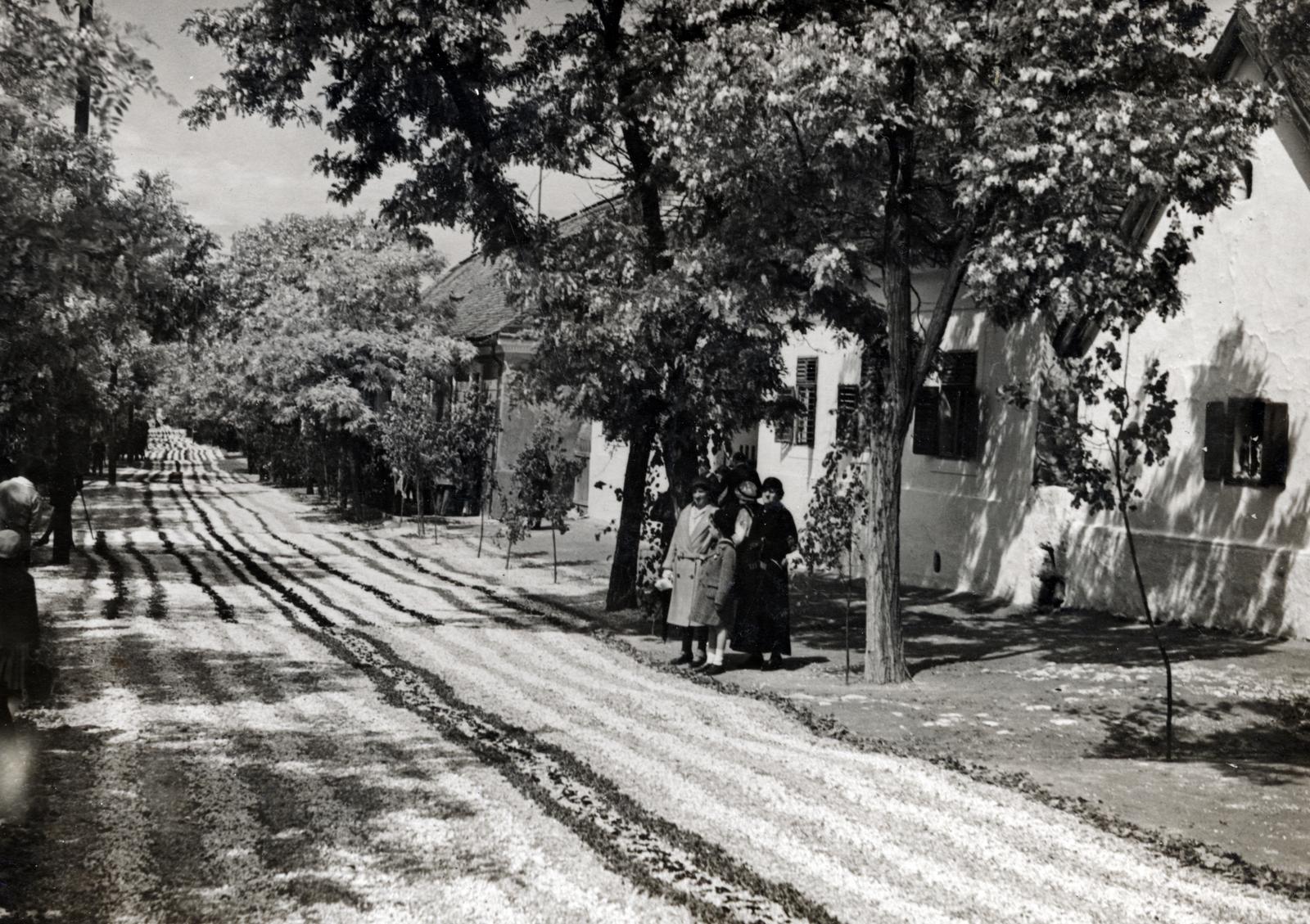 Hungary, Budaörs, Szabadság út (József főherceg utca). Úrnapi körmenet virágszőnyege., 1933, Bor Dezső, flower carpet, Fortepan #232141