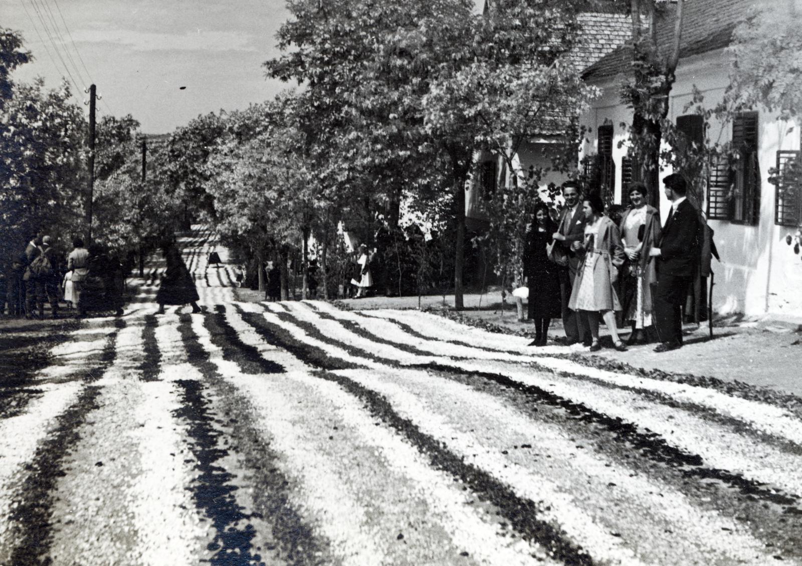 Hungary, Budaörs, Szabadság út (József főherceg utca). Úrnapi körmenet virágszőnyege., 1933, Bor Dezső, flower carpet, Fortepan #232143