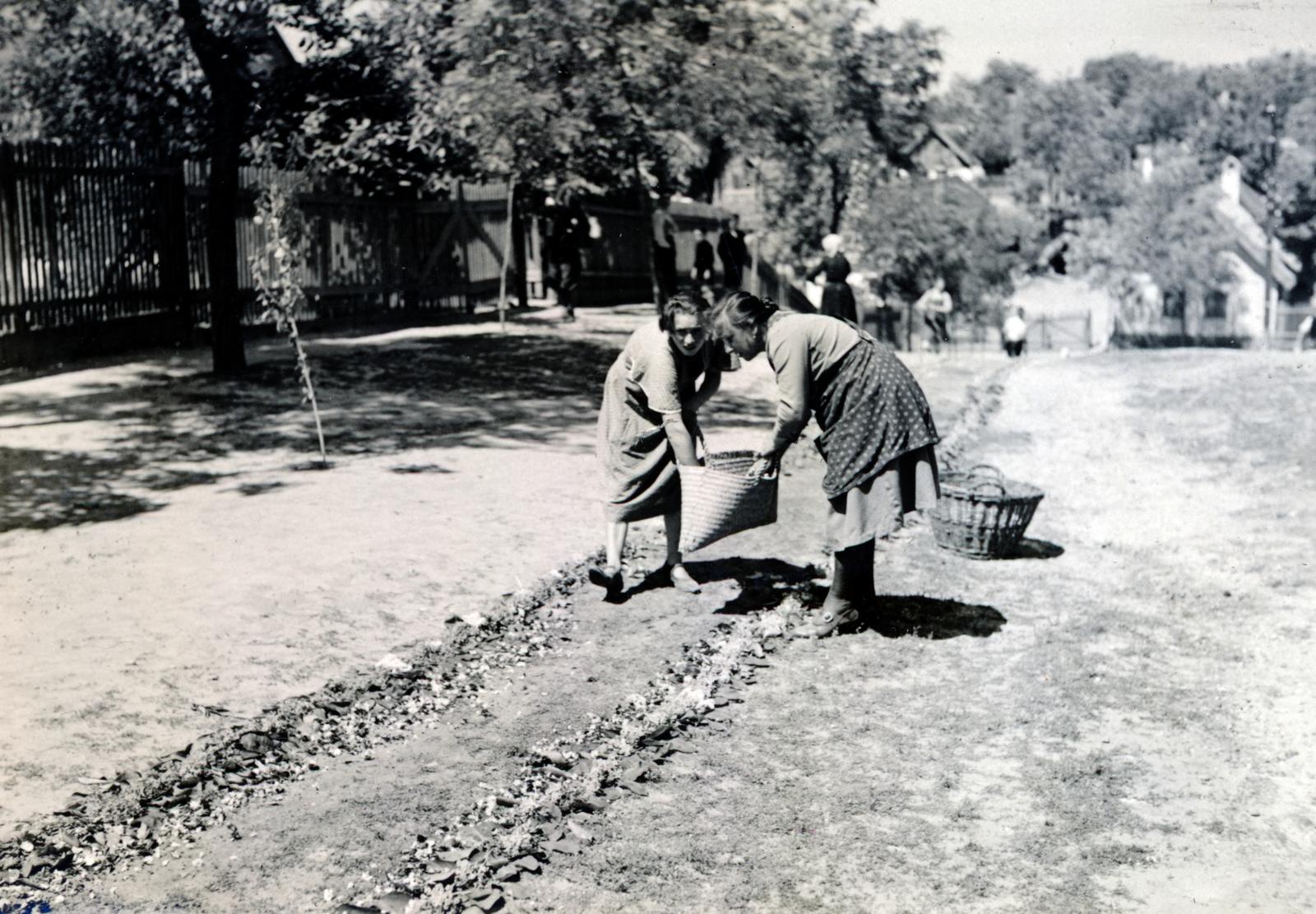 Magyarország, Csömör, úrnapi körmenetre készítik a virágszőnyeget., 1932, Bor Dezső, virágszőnyeg, Fortepan #232210
