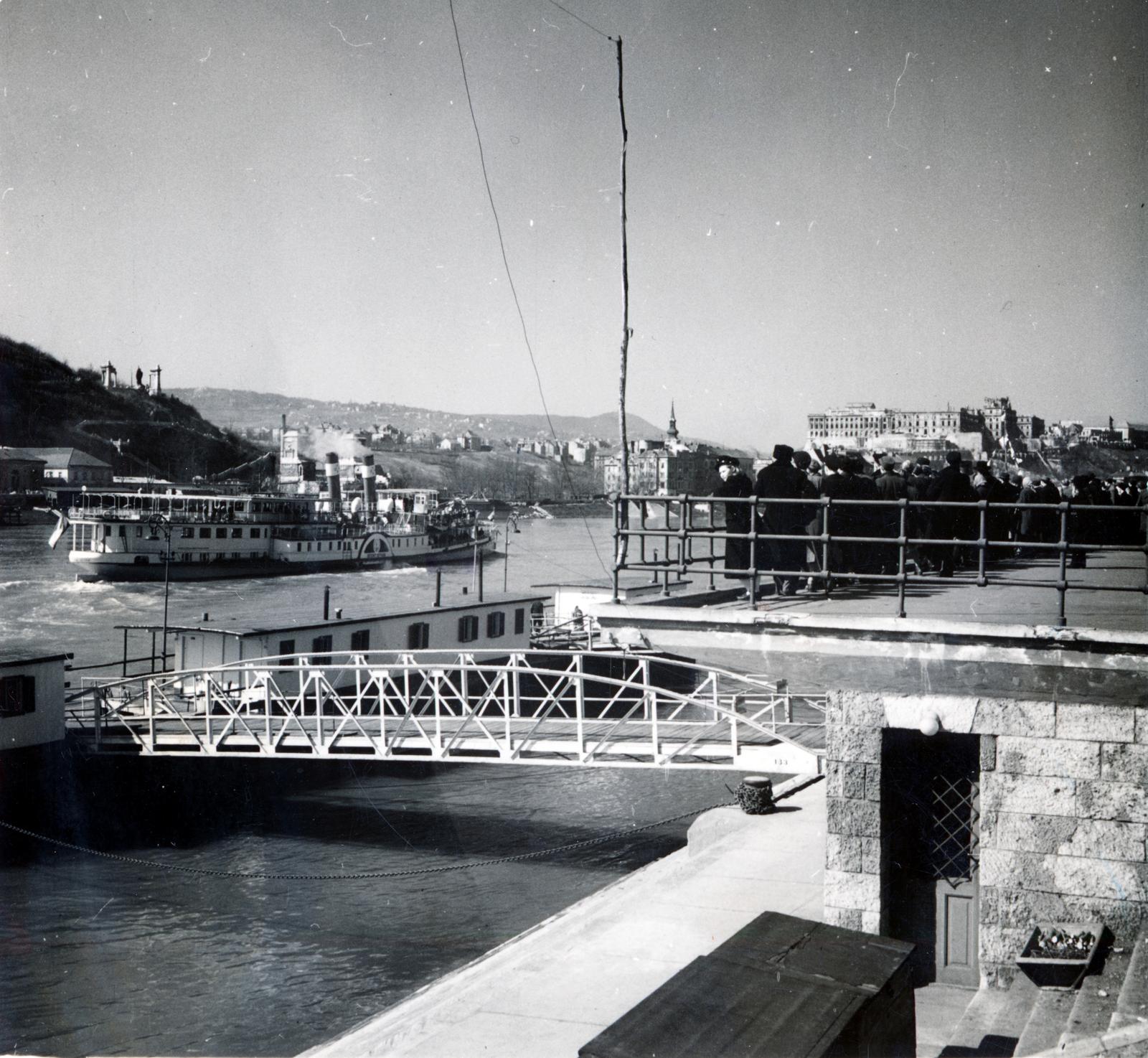 1956, Losonci Rita dr., Dunagyöngye/Deák Ferencz ship, steamboat, Fortepan #232274