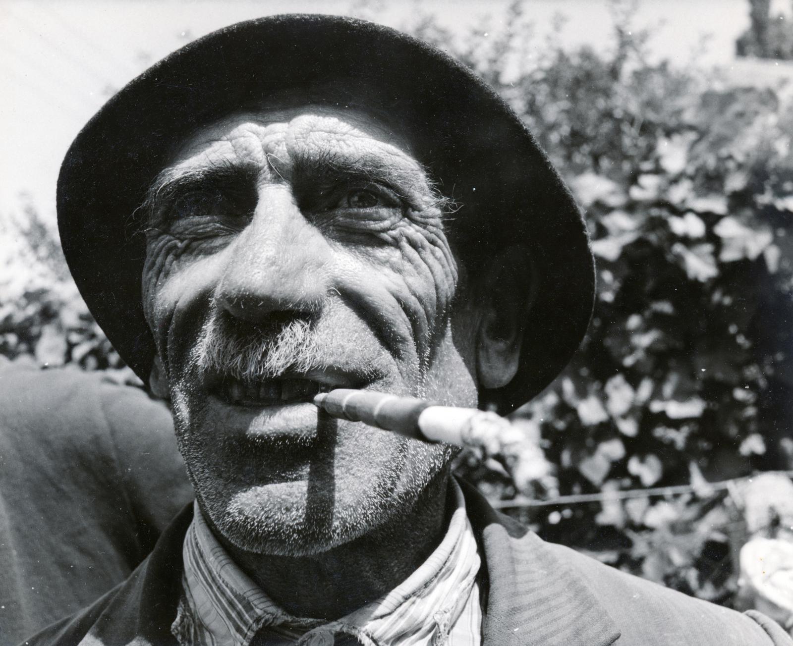 1974, László Ilona, man, smoking, old person, Fortepan #232550