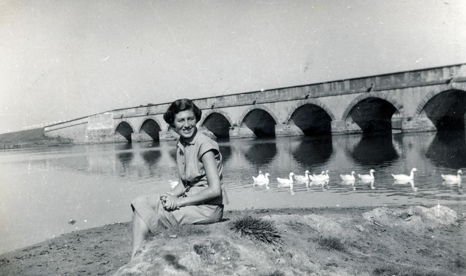 1955, Aczél Frigyes, bridge, duck, woman, sitting, shore, looking back, Fortepan #232711