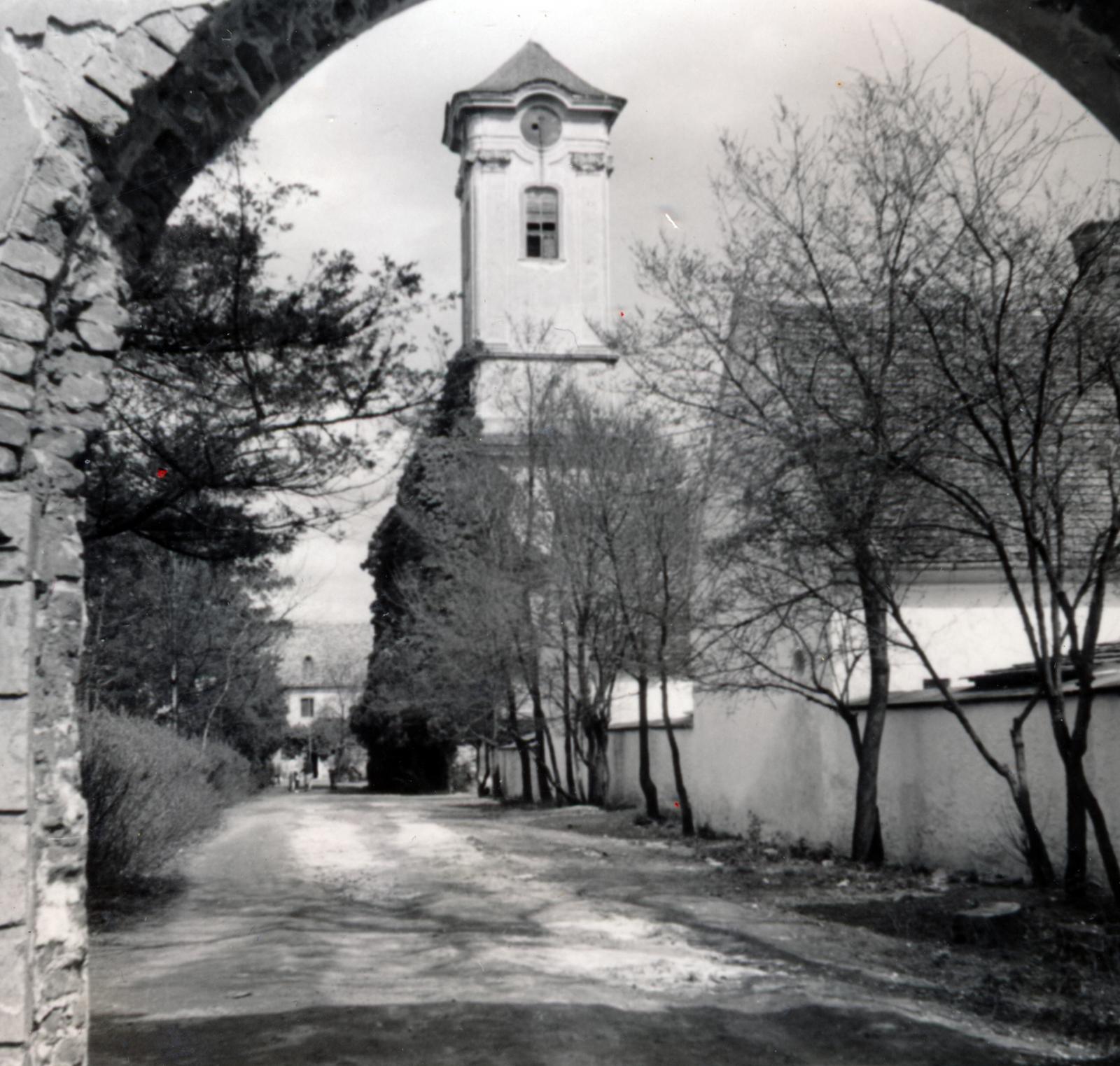 Hungary, Oroszlány,Majkpuszta, Kamalduli remeteség. Szemben a templomból megmaradt csonkán álló torony, 1954, Aczél Frigyes, Fortepan #232751