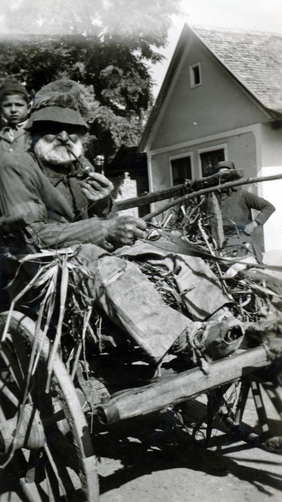 1940, Tordai György, chariot, poverty, pipe, old person, beard, Fortepan #232777