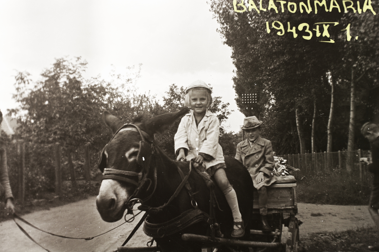 Hungary, Balatonmáriafürdő, 1943, Fortepan/Album002, portrait, hat, chariot, girl, kid, donkey, coach, kid, doodle, Fortepan #23292