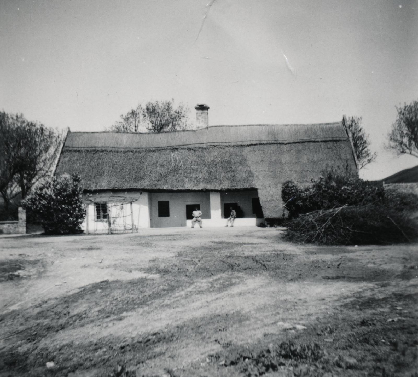 1954, Pálos Ágnes, Fortepan #233247