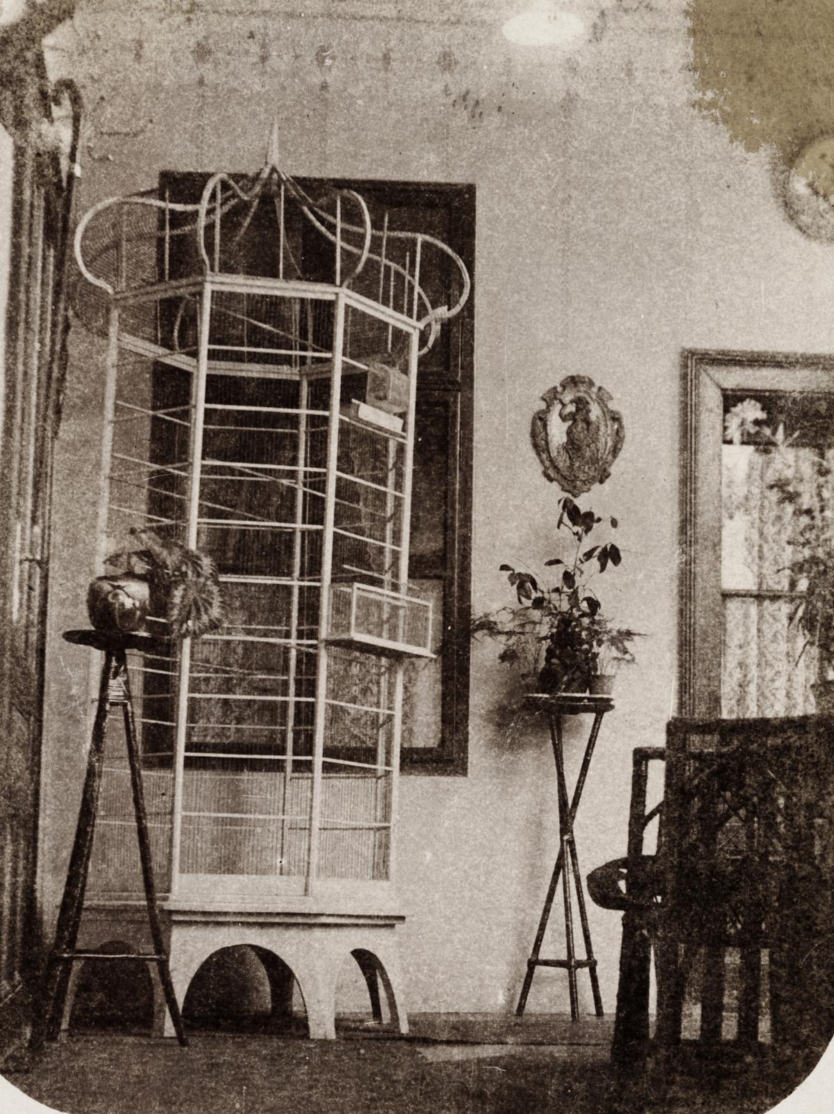 1917, Hajtman Ágnes, grille, bird cage, Fortepan #233331