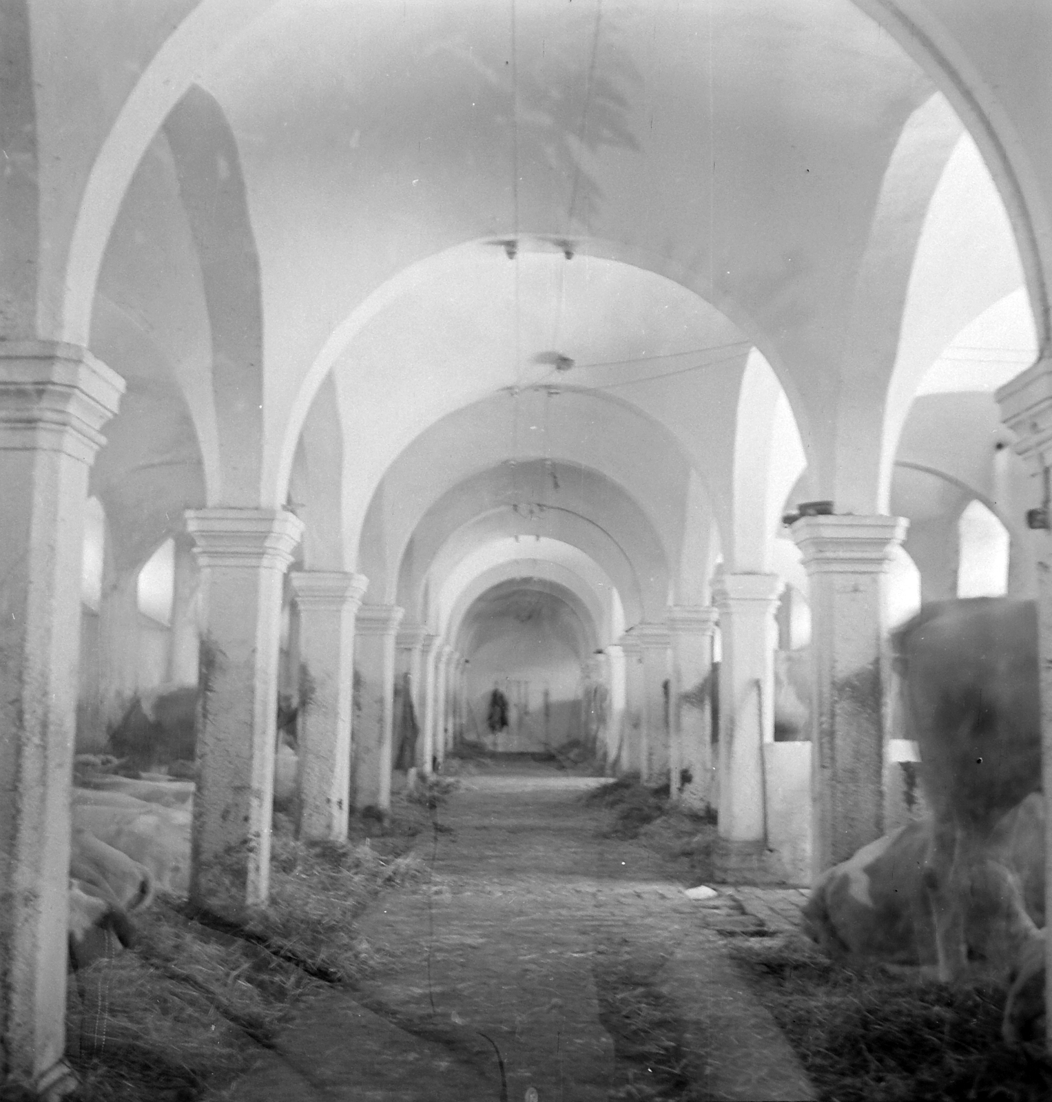 Hungary, Sümeg, Vároldal utca 5. Püspöki istálló., 1950, Építész, religion, stable, colonnade, Fortepan #23339