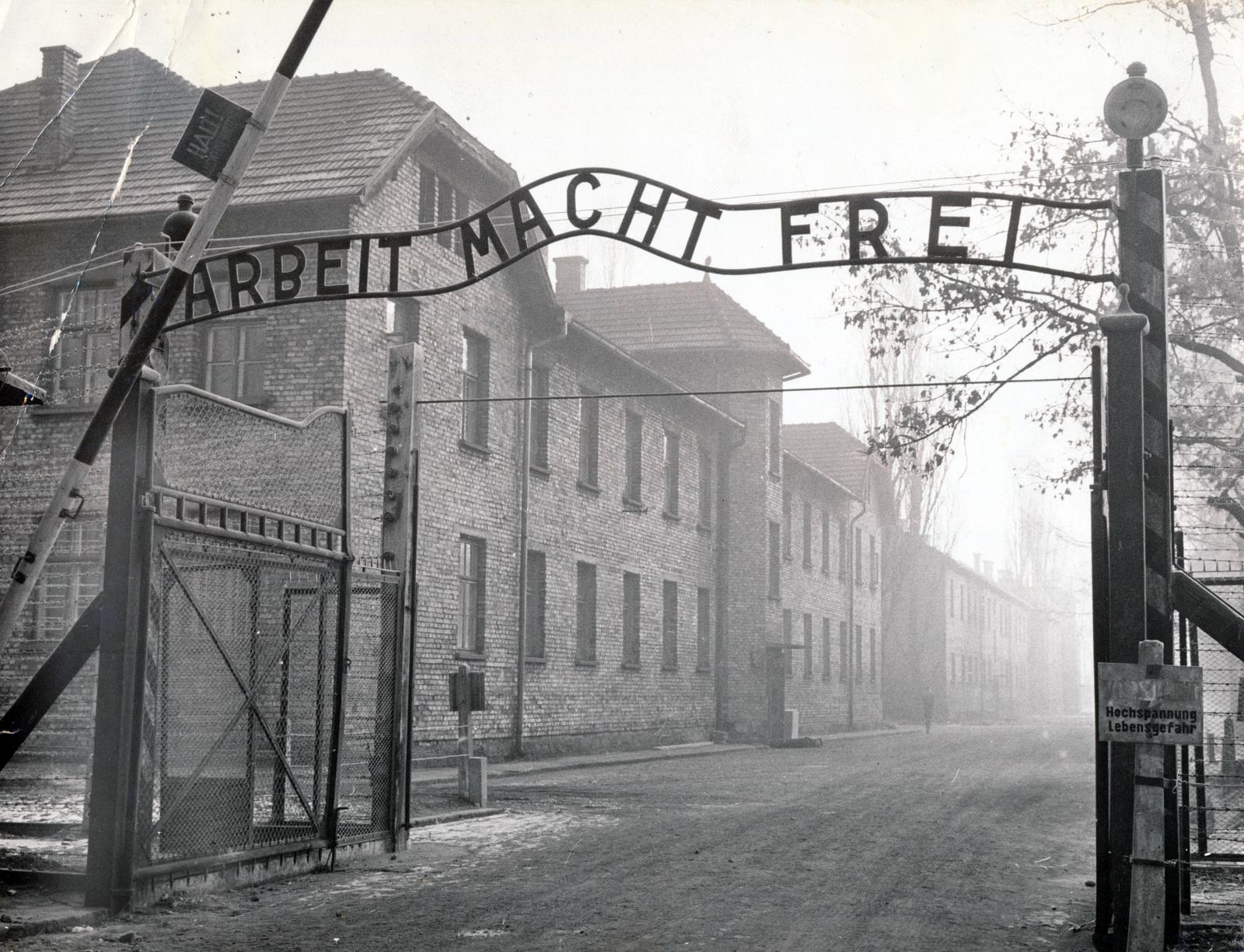 1955, Fortepan/Album088, concentration camp, Fortepan #233430