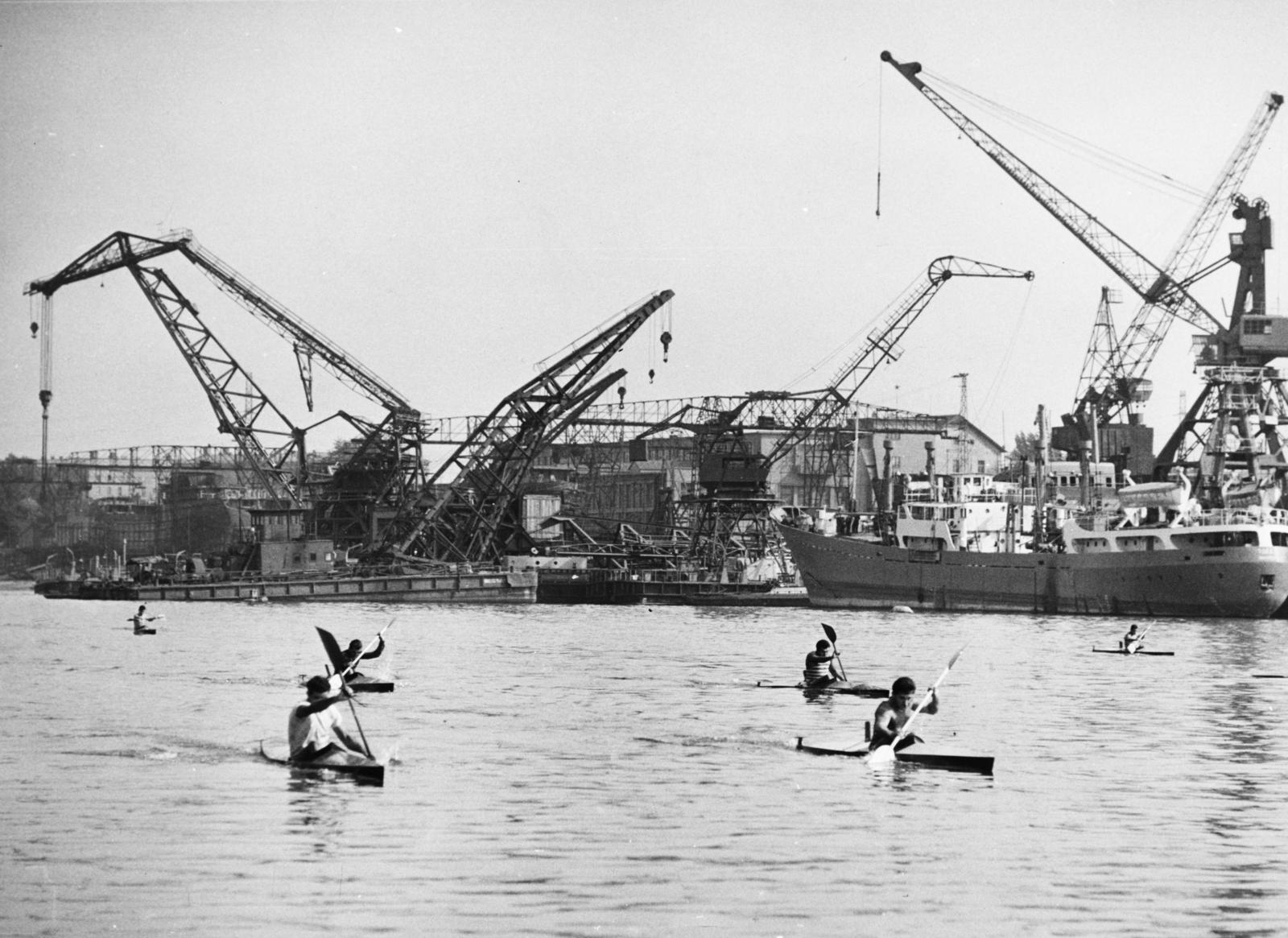 1969, Thaly Gergely, hajódaru, Fortepan #233628